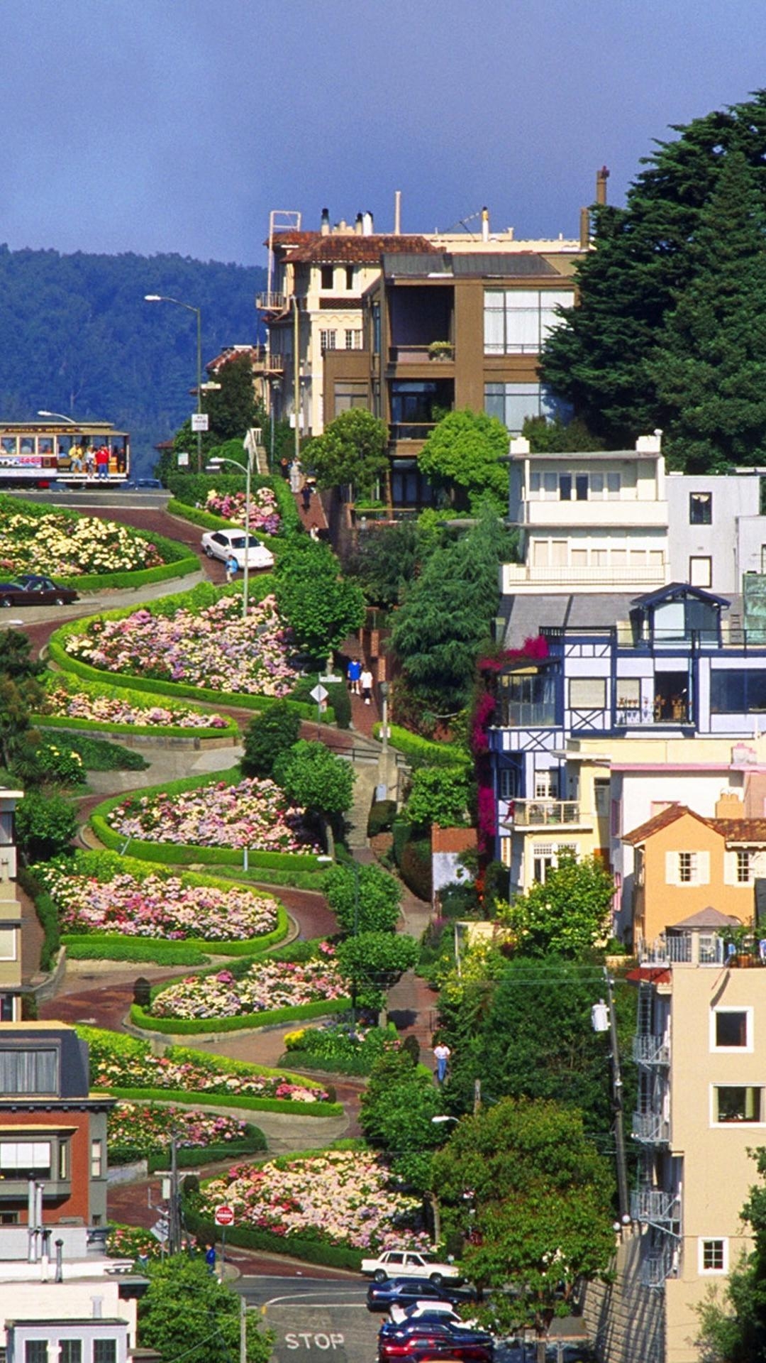 1080x1920 Lombard street san francisco architecture streets wallpaper, Phone