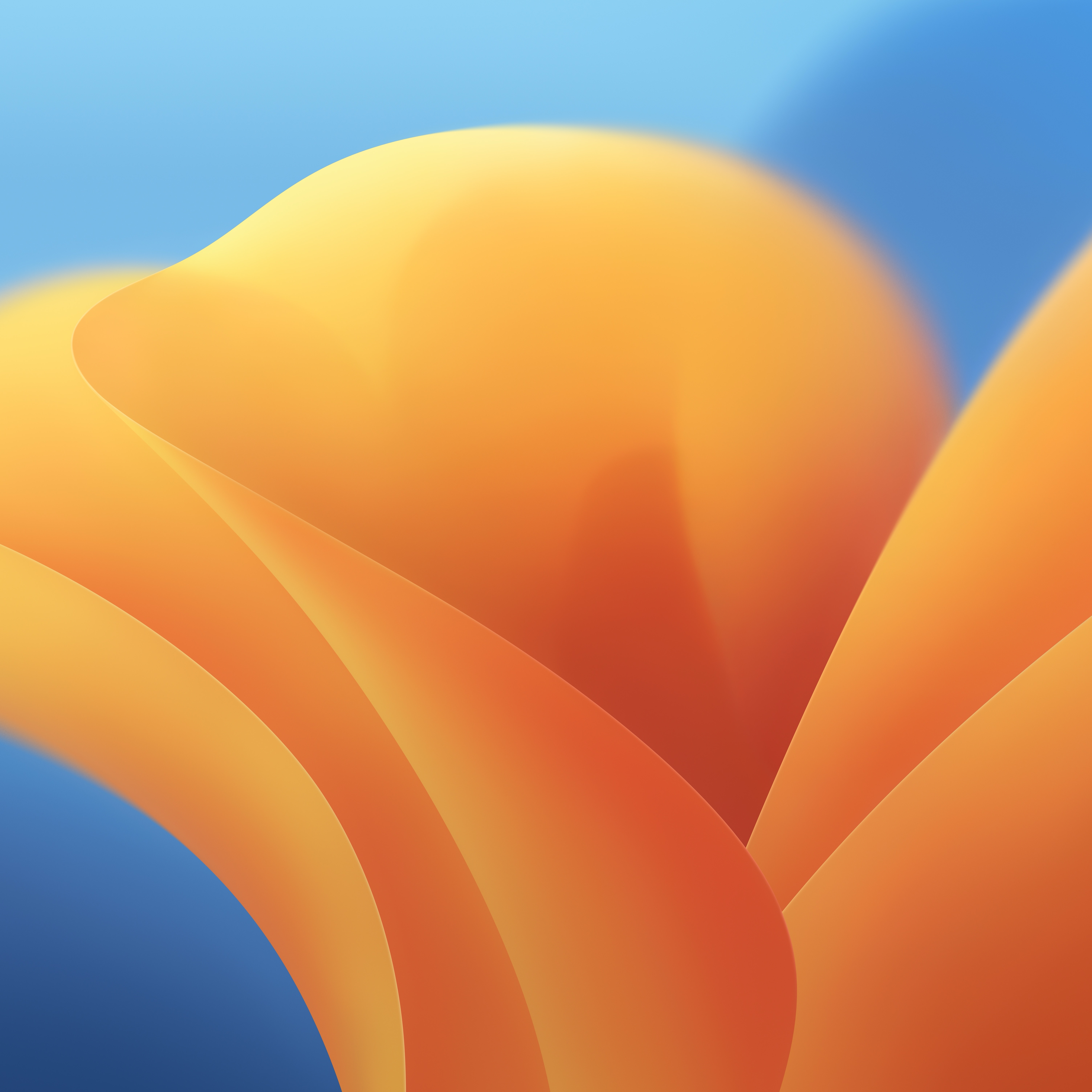 6020x6020 Download the new macOS 13 Ventura wallpaper, Phone