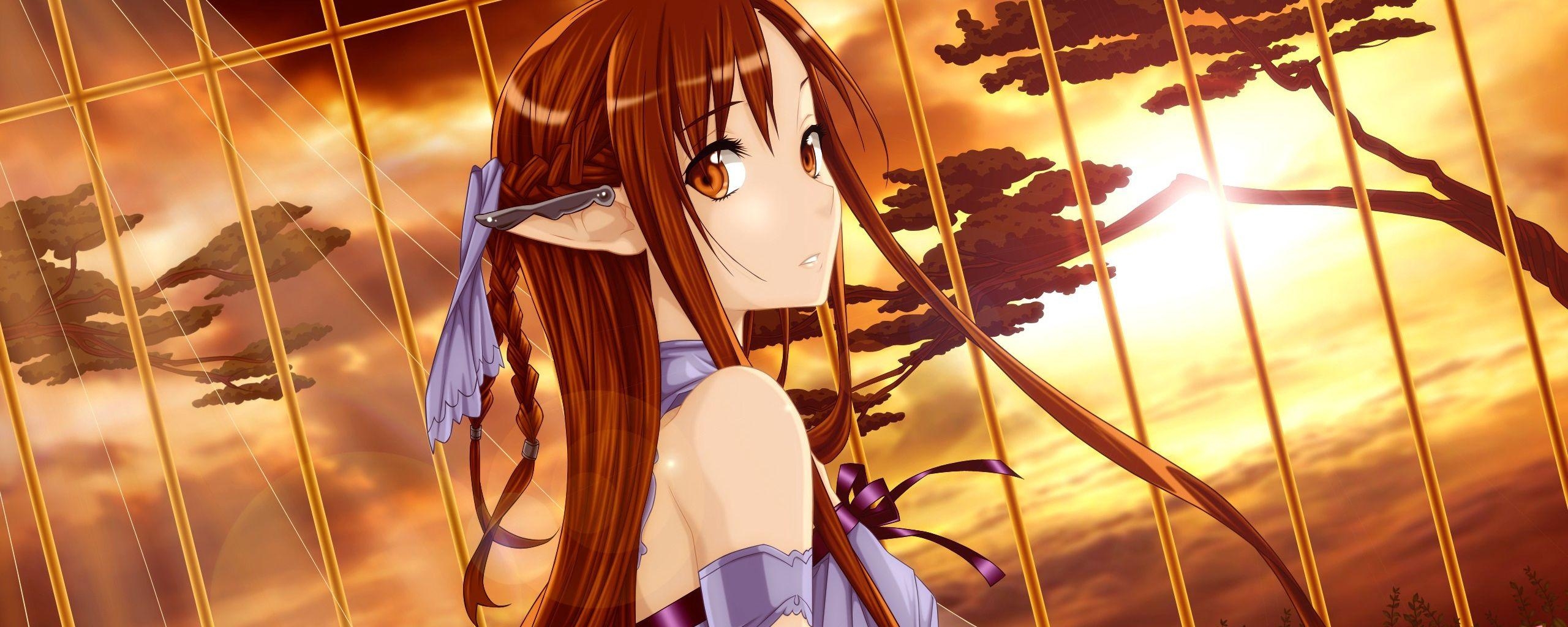 2560x1030 Download wallpaper  sword art online, yuuki asuna, girl, Dual Screen