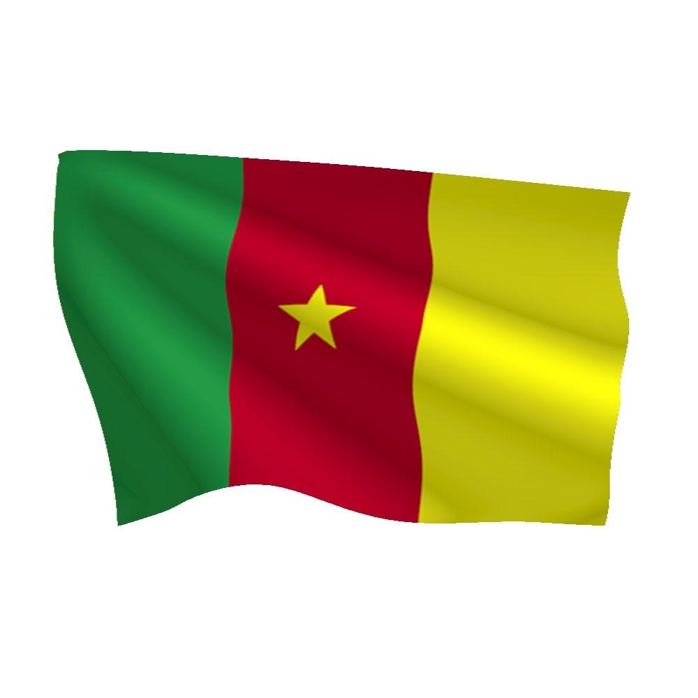 1000x1000 Graafix!: Flag of Cameroon flag graphics, Phone