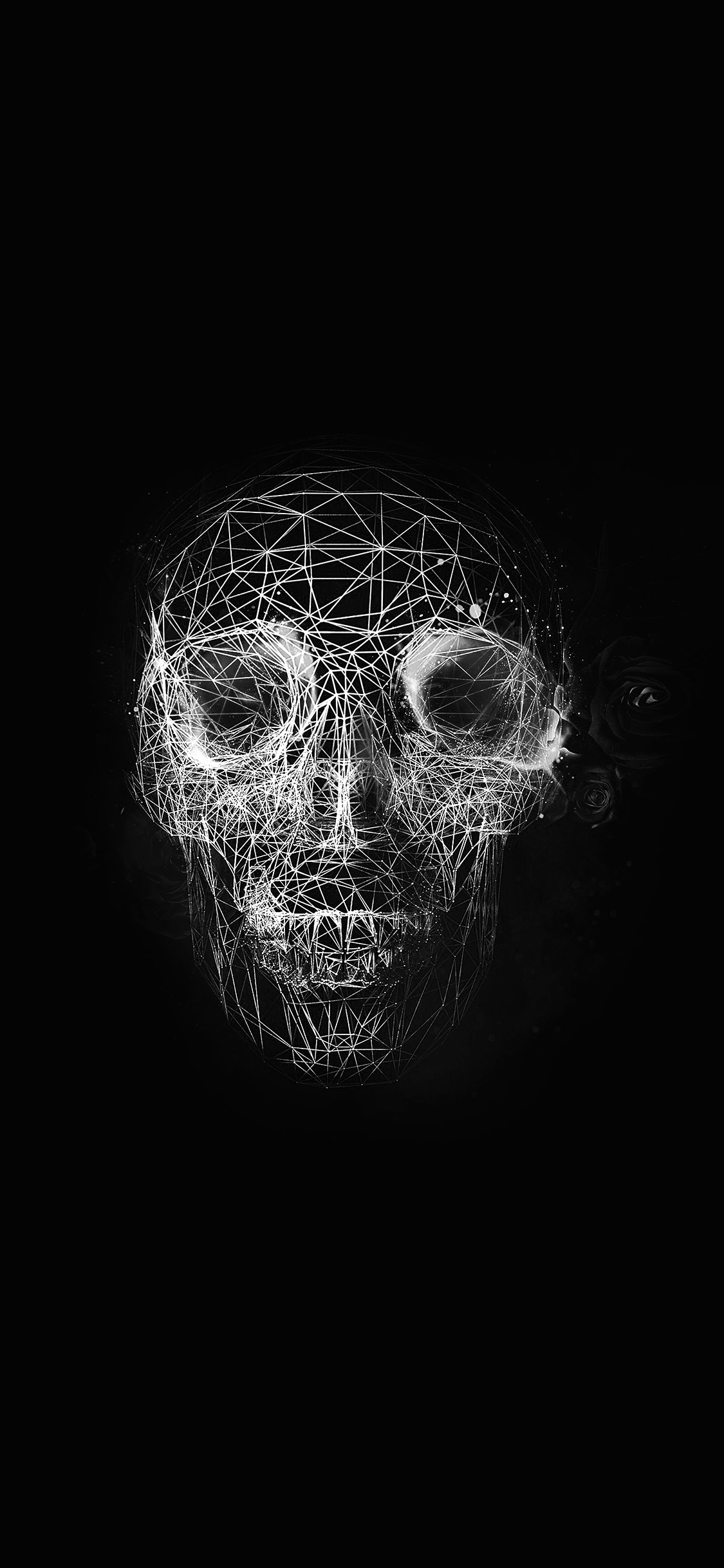 1130x2440 iPhone X wallpaper. digital skull dark abstract art illustration bw, Phone