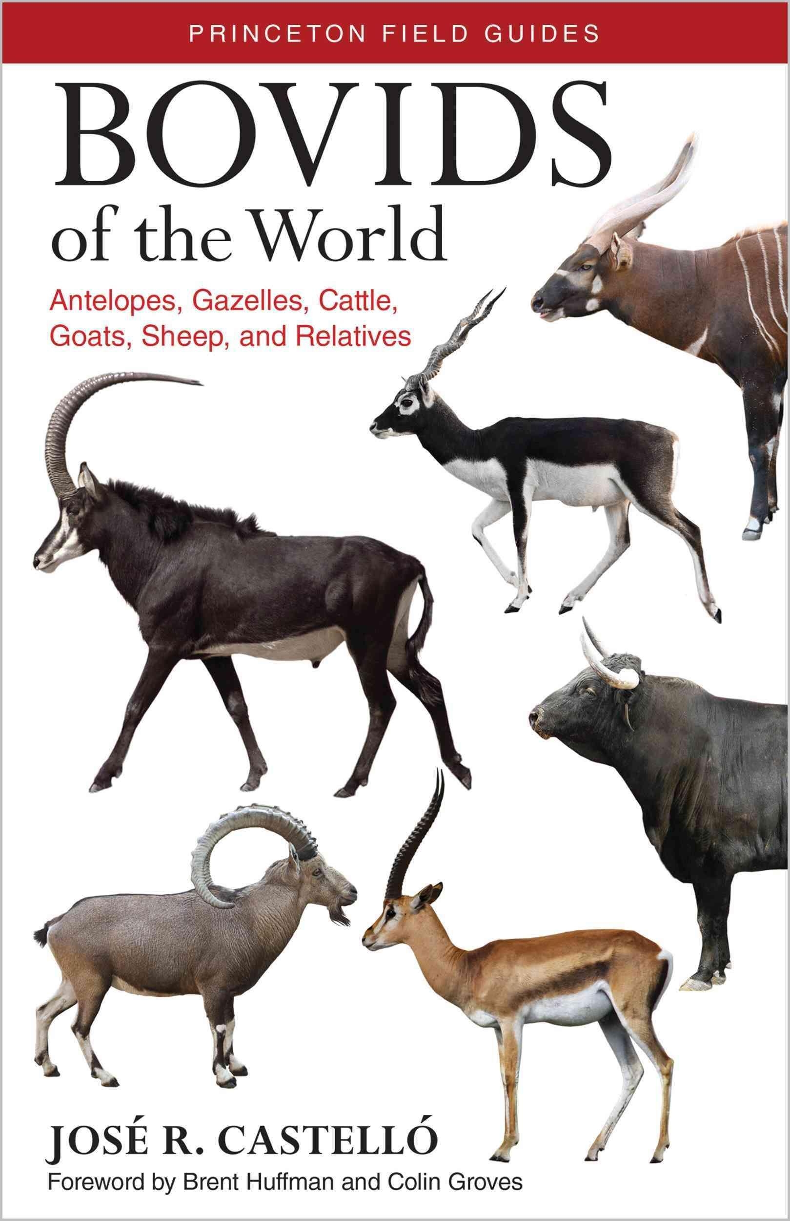 1620x2500 Bovids of the World: Antelopes, Gazelles, Cattle, Goats, Phone