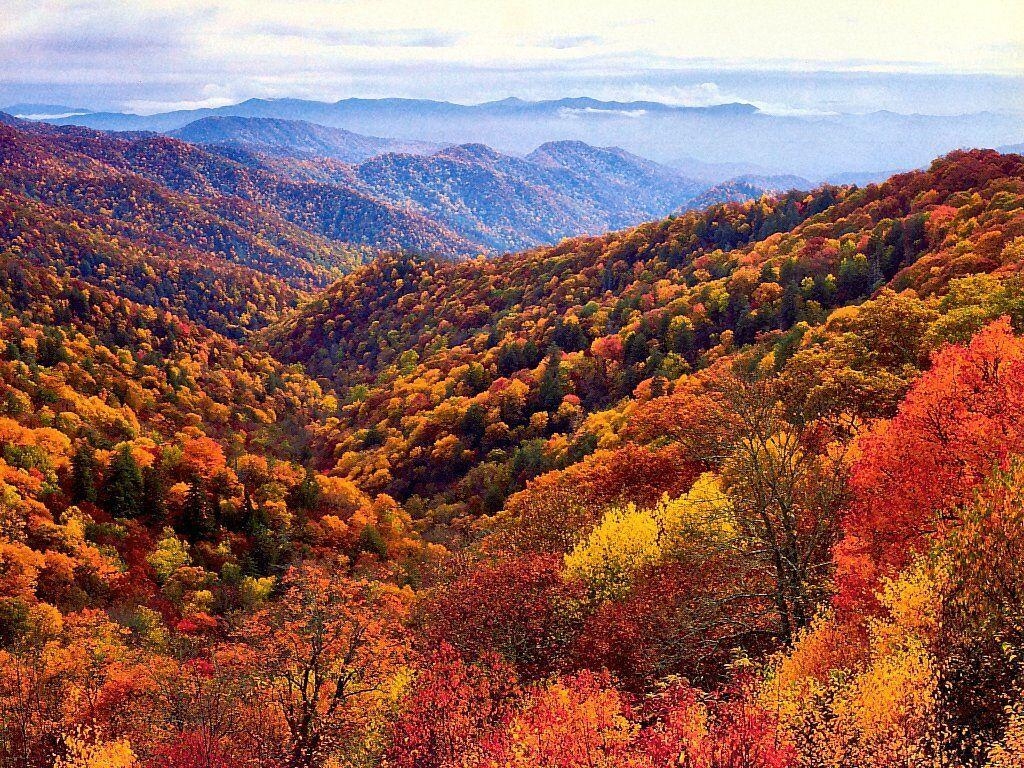 1030x770 Great Smoky Mountains National Park Park in United, Desktop