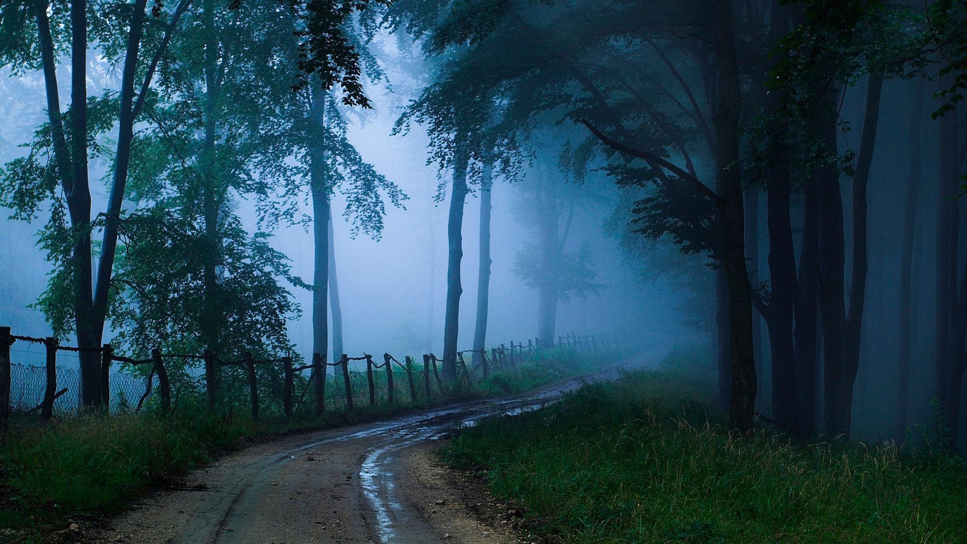 1920x1080 Country road in the dark forest. Widescreen wallpaper beautiful scenery for your phone, Desktop