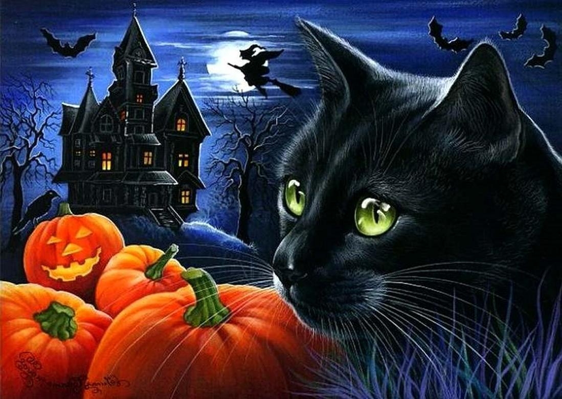 1100x780 halloween cats and pumpkins. Black cat halloween pumpkin night, Desktop