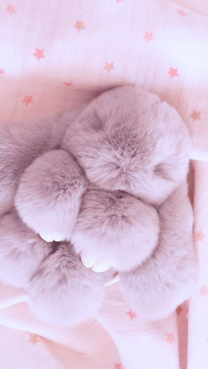 720x1280 animals, baby, background, beautiful.weheartit.com, Phone