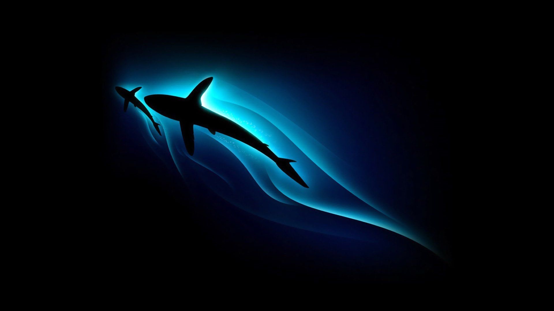 1920x1080 Cool Shark Wallpaper Free Cool Shark Background, Desktop