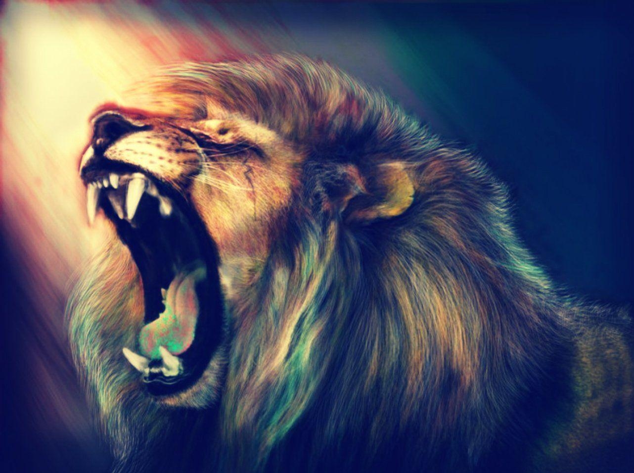 1290x960 Lion HD Wallpaper and Background Image, Desktop