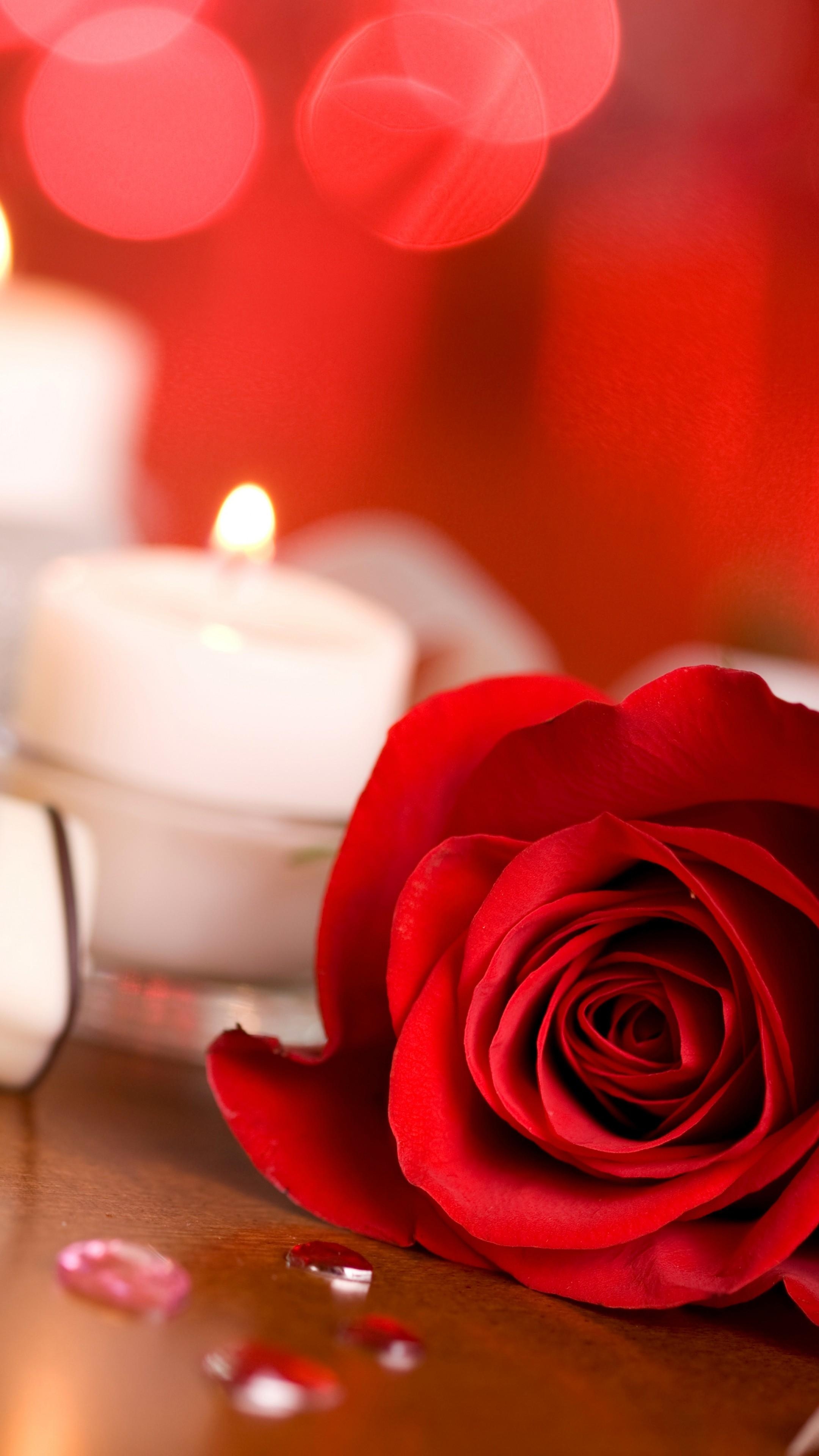 2160x3840 Wallpaper Valentine's Day, rose, candle, ribbon, romantic, Phone