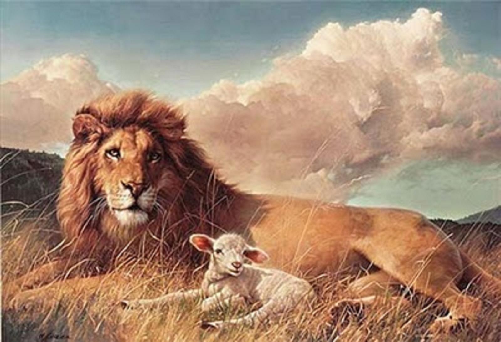 1600x1100 Free download Yeshua Jesus is Lord The Lion and The Lamb [] for your Desktop, Mobile & Tablet. Explore Lion and Lamb Wallpaper. Lion and Lamb Wallpaper, Lamb Wallpaper, Desktop