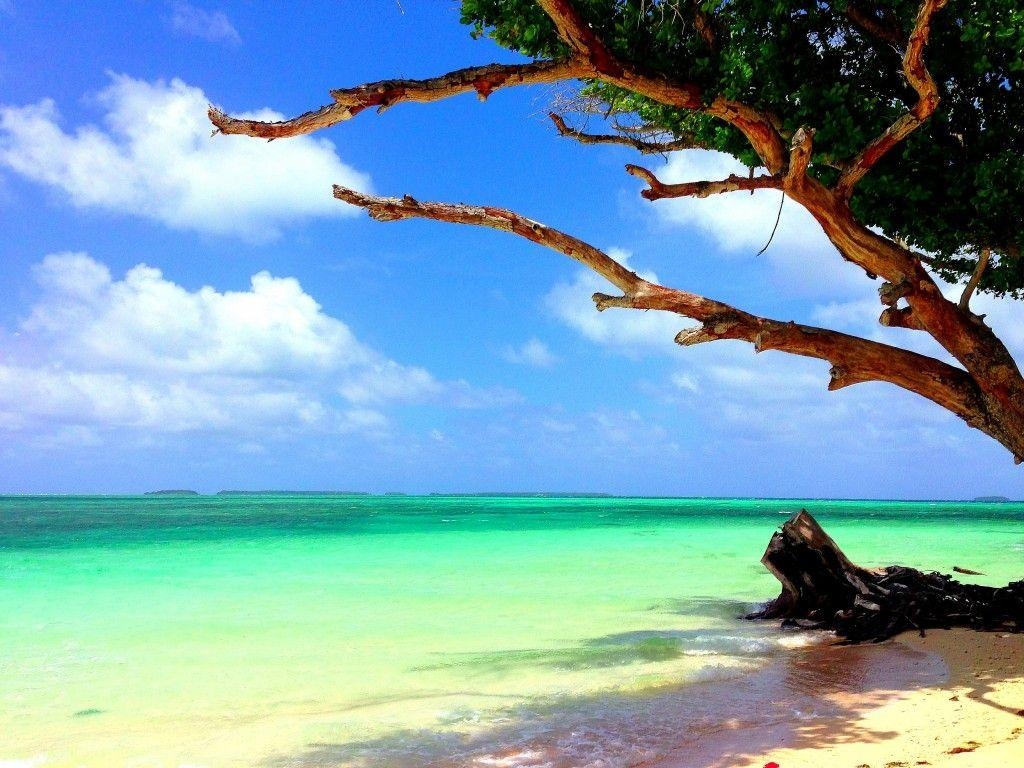 1030x770 The Marshall Islands. Marshall islands, Island beach and Beach, Desktop