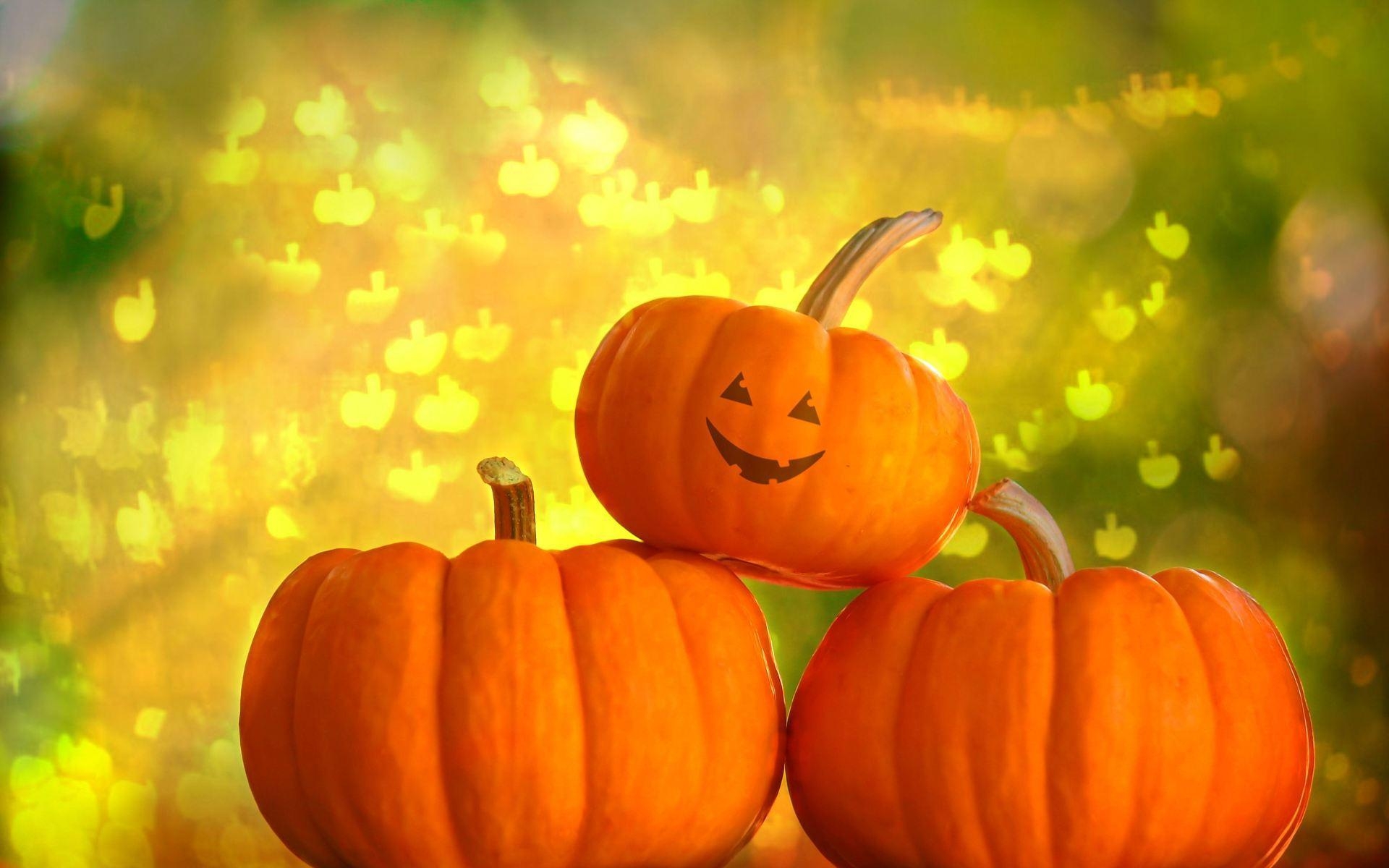 1920x1200 Pumpkin Wallpaper, Desktop