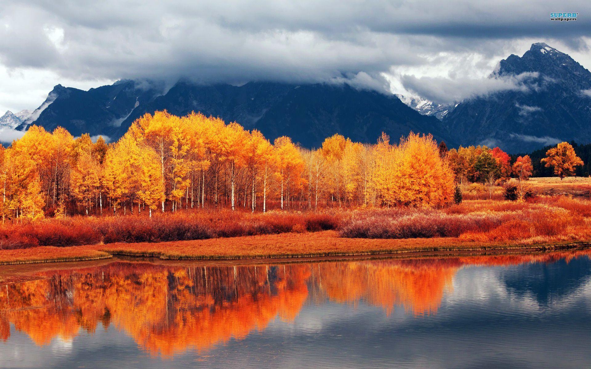 1920x1200 Beautiful Washington State wallpaperx1200, Desktop