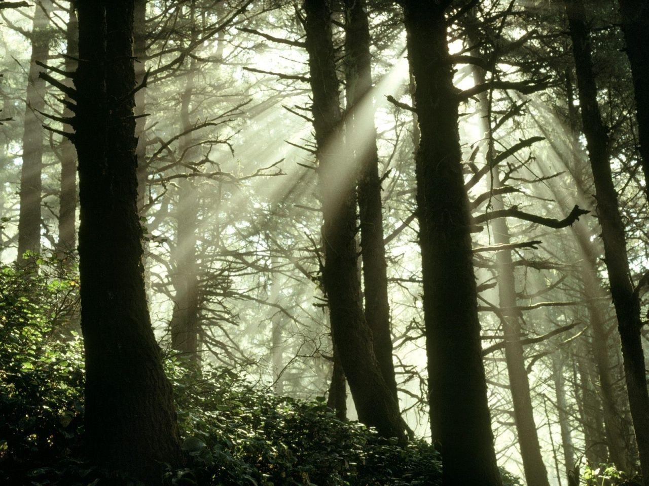 1280x960 Shimmering rays oregon coast Nature wallpaper. Urban Art Wallpaper, Desktop