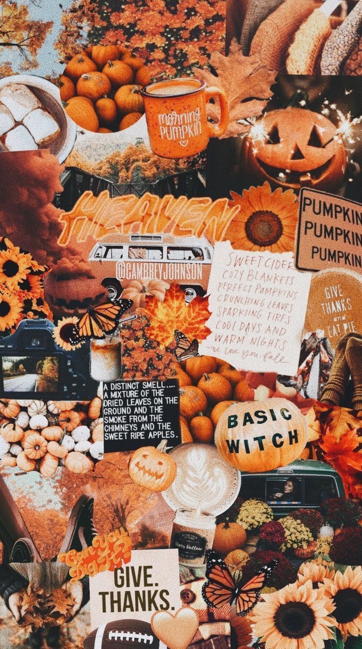 740x1320 fallen vibes #fall #vibes #wallpaper #fallwallpaperiphone fallen vibes # fall #vibes #wallpaper. Fall wallpaper, iPhone wallpaper fall, Orange wallpaper, Phone