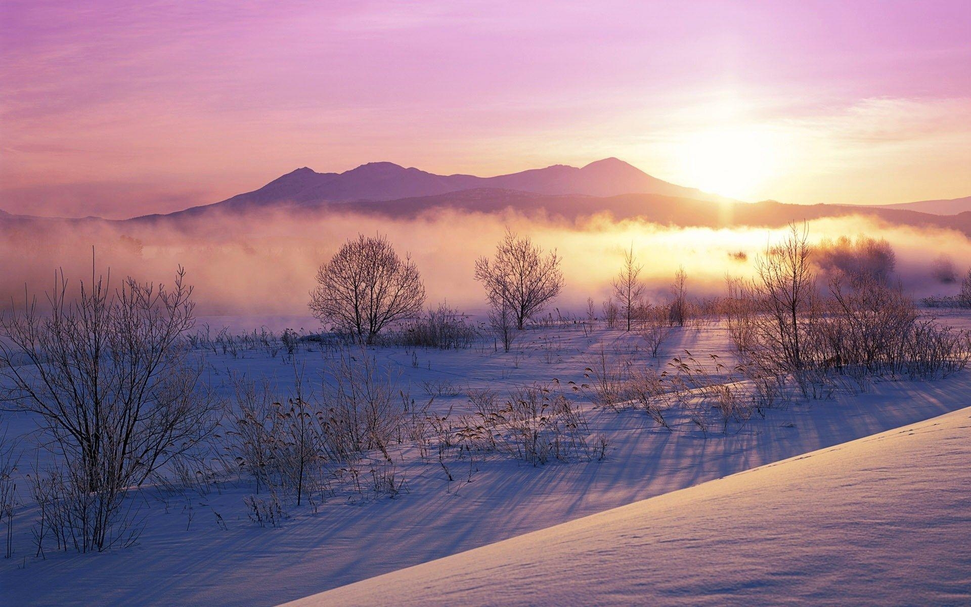 1920x1200 雪うさぎ (Snowy dawn landscape near Hokkaido, Japan), Desktop