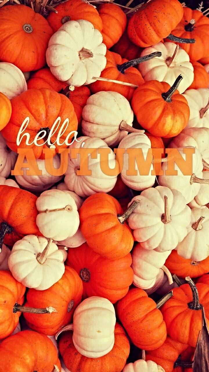 720x1280 Hello Autumn wallpaper, Phone