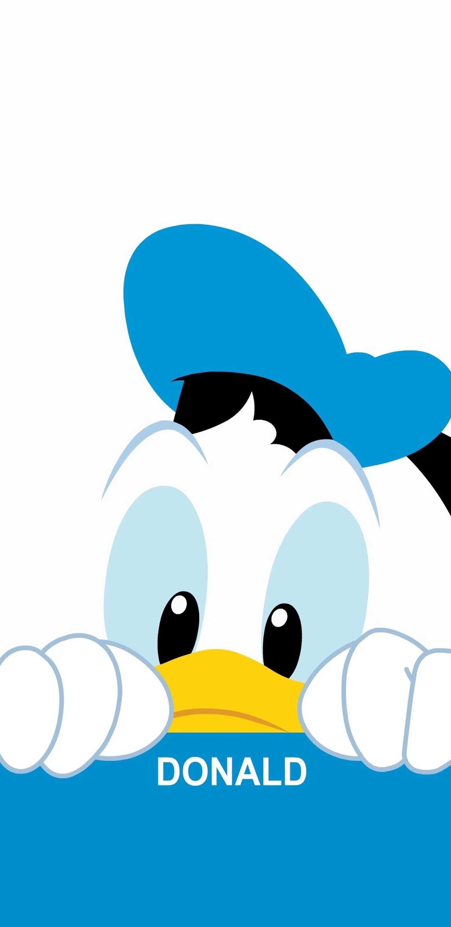 1440x2960 Donald Duck Wallpaper. Duck, Phone