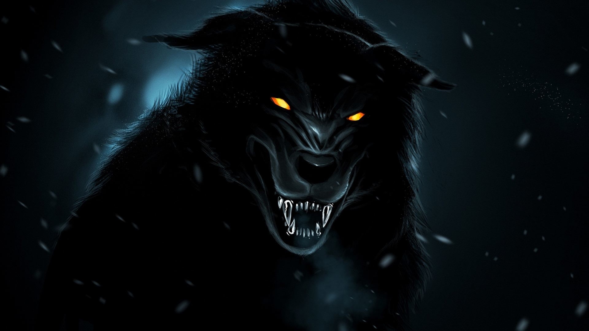 1920x1080 Black And White Wolf Wallpaper, Desktop