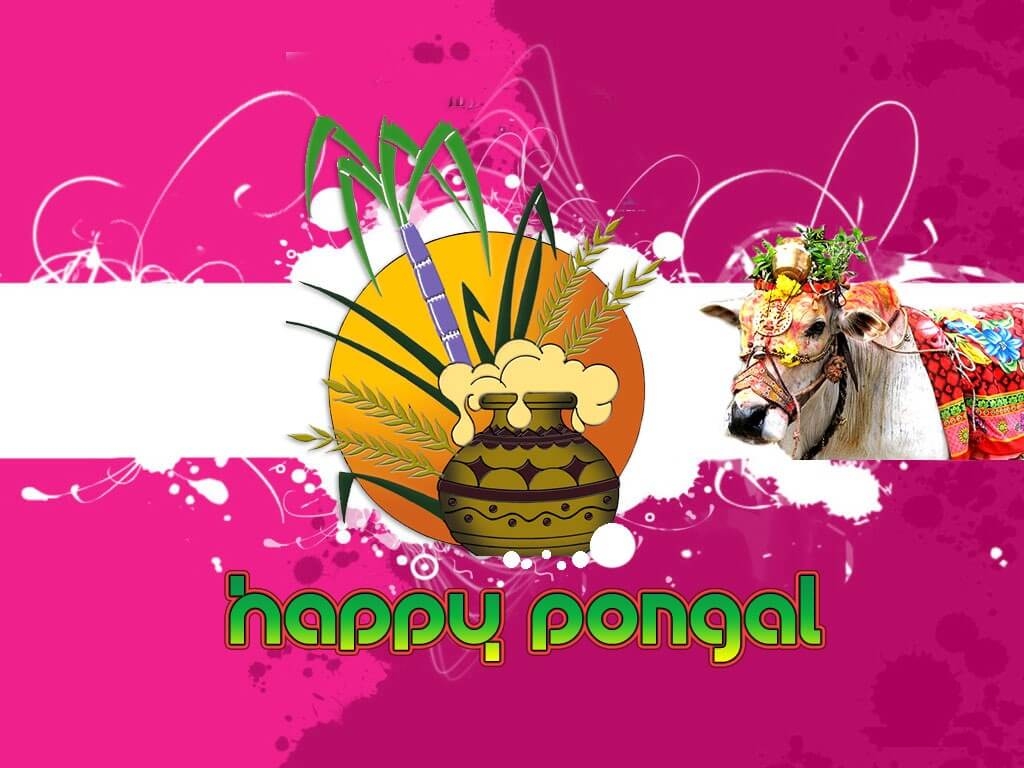 1030x770 Pongal Wallpaper, Desktop