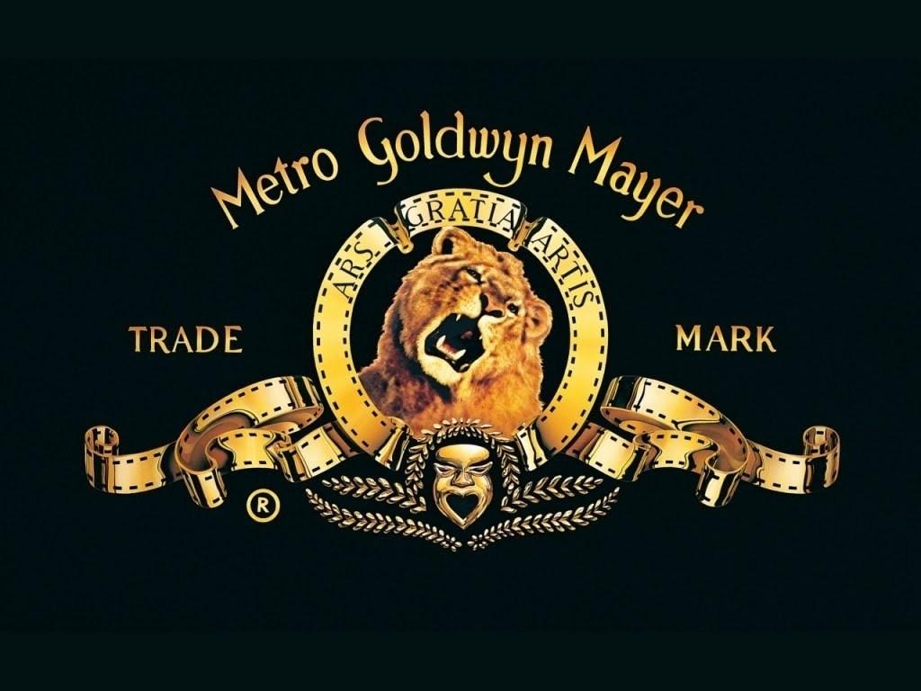 1030x770 Mike Winston: Long MGM Holdings. Sutton View Capital LLC, Desktop