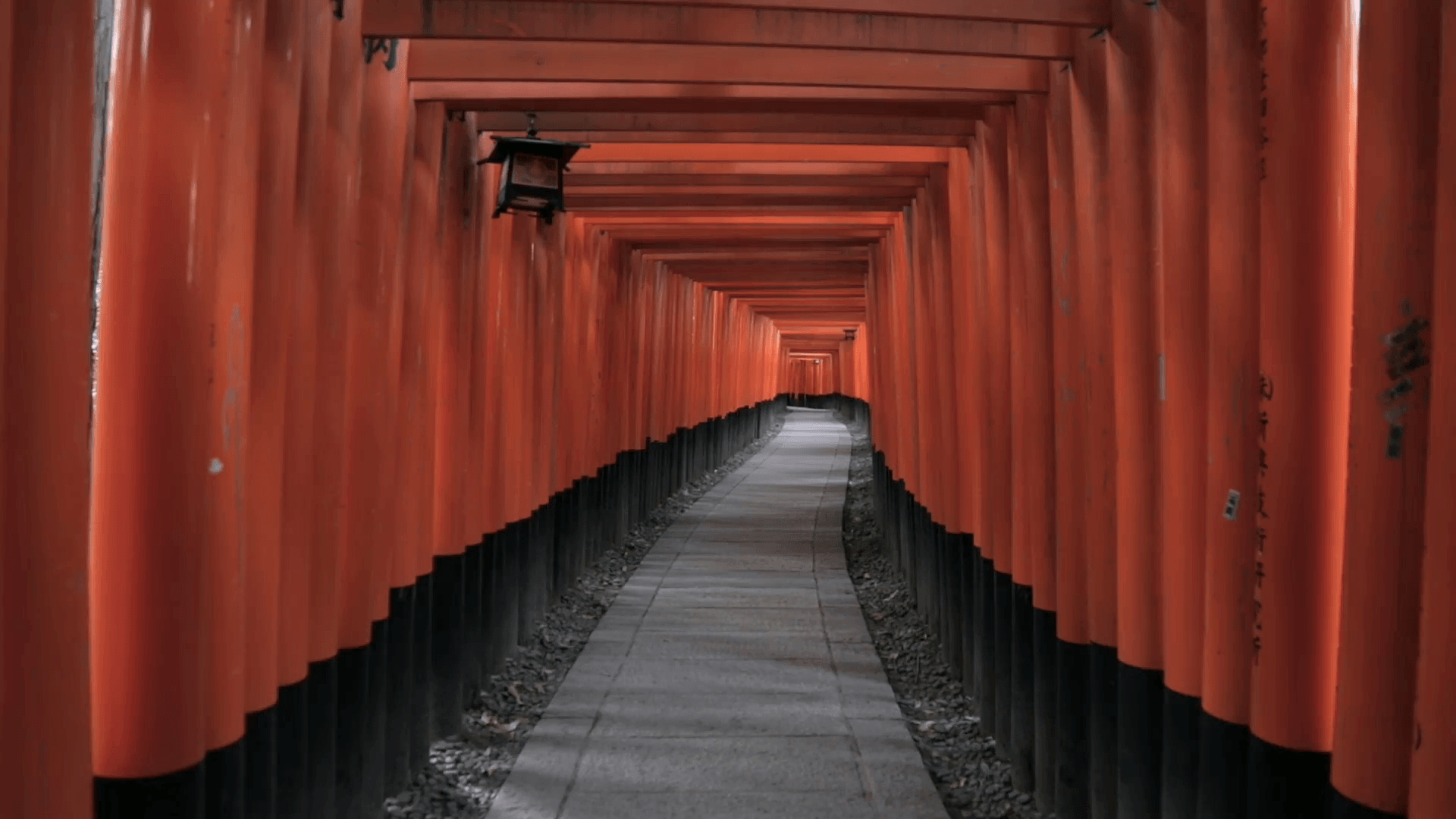 1920x1080 Red Torii Gates At Fushimi Inari Shrine, Kyoto, Japan Stock Video, Desktop