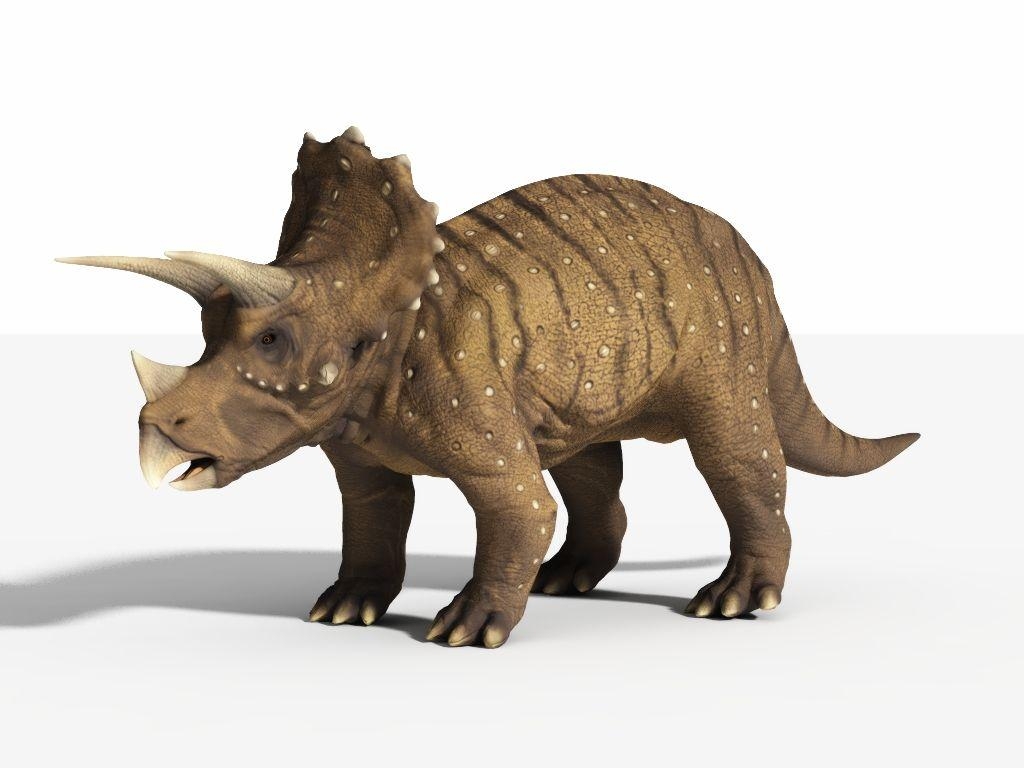 1030x770 px Triceratops 270.13 KB, Desktop