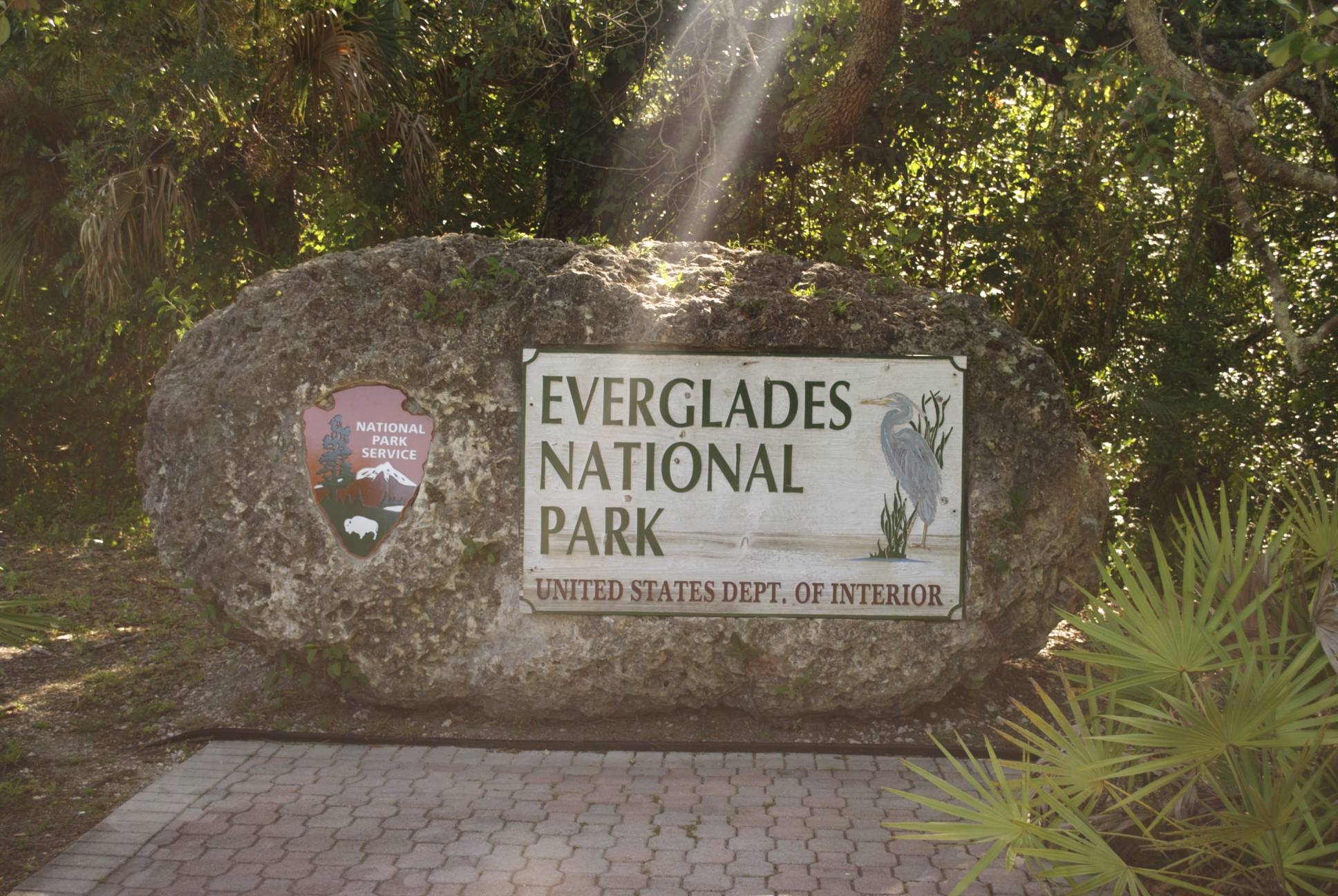 1940x1300 Exploring Everglades National Park in Miami, Desktop