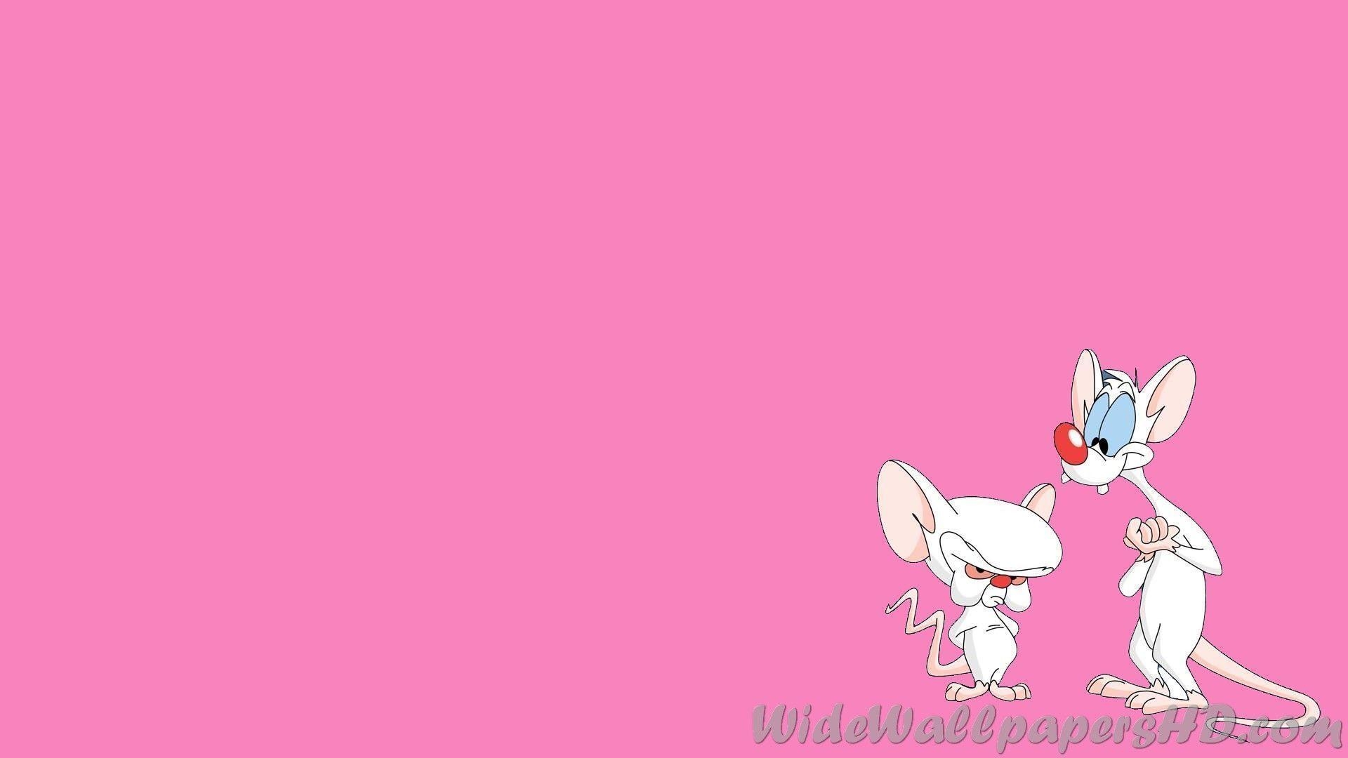 1920x1080 Pinky And The Brain. Wide Wallpaper HD, Desktop