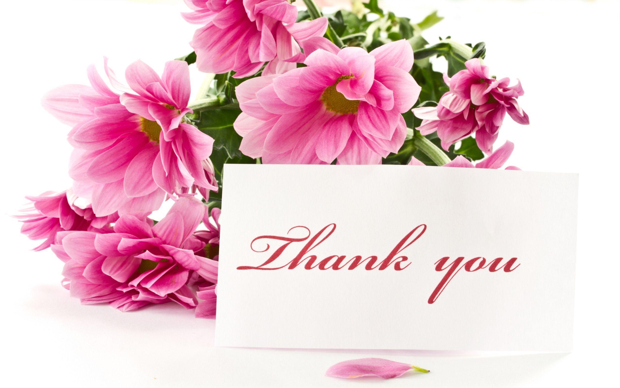 2560x1600 Thank You Wallpaper Image, Desktop