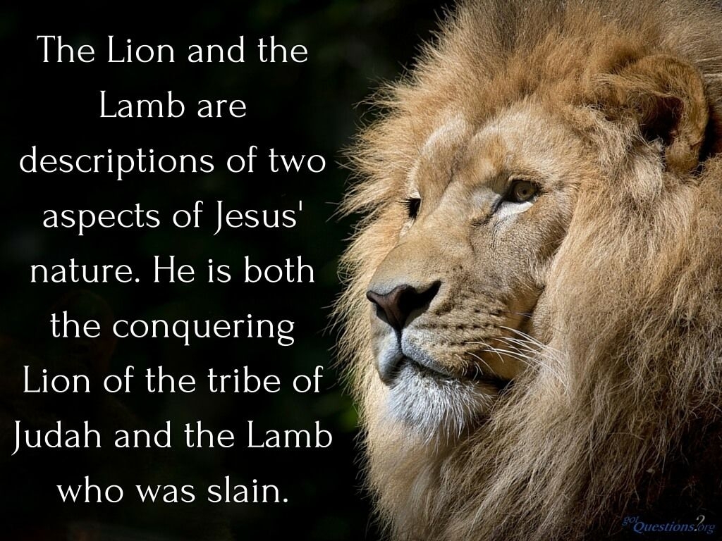 1030x770 How should we understand the Lion and the Lamb passage, Desktop