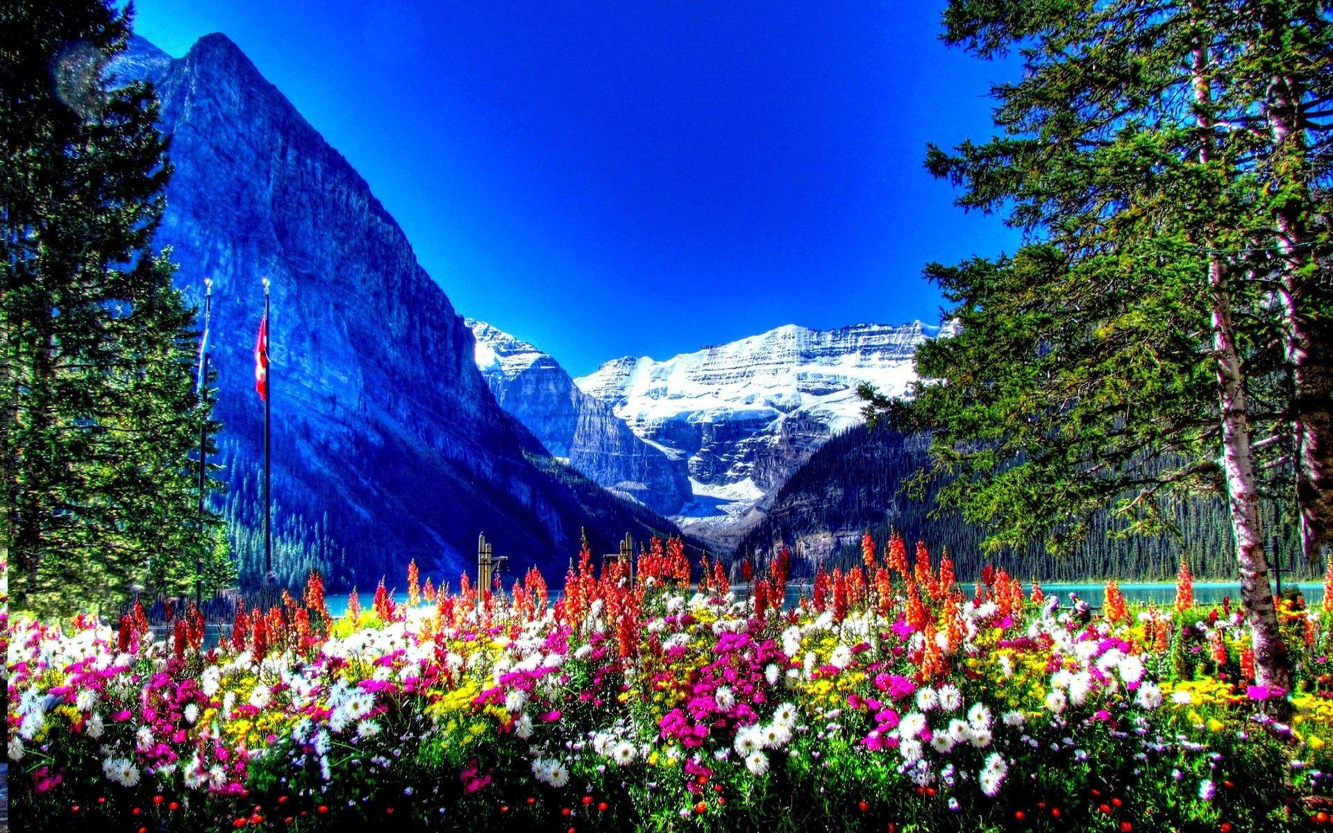 1920x1200 Amusement Parks: BANFF NATIONAL PARK CANADA Flowers Mountains Full, Desktop