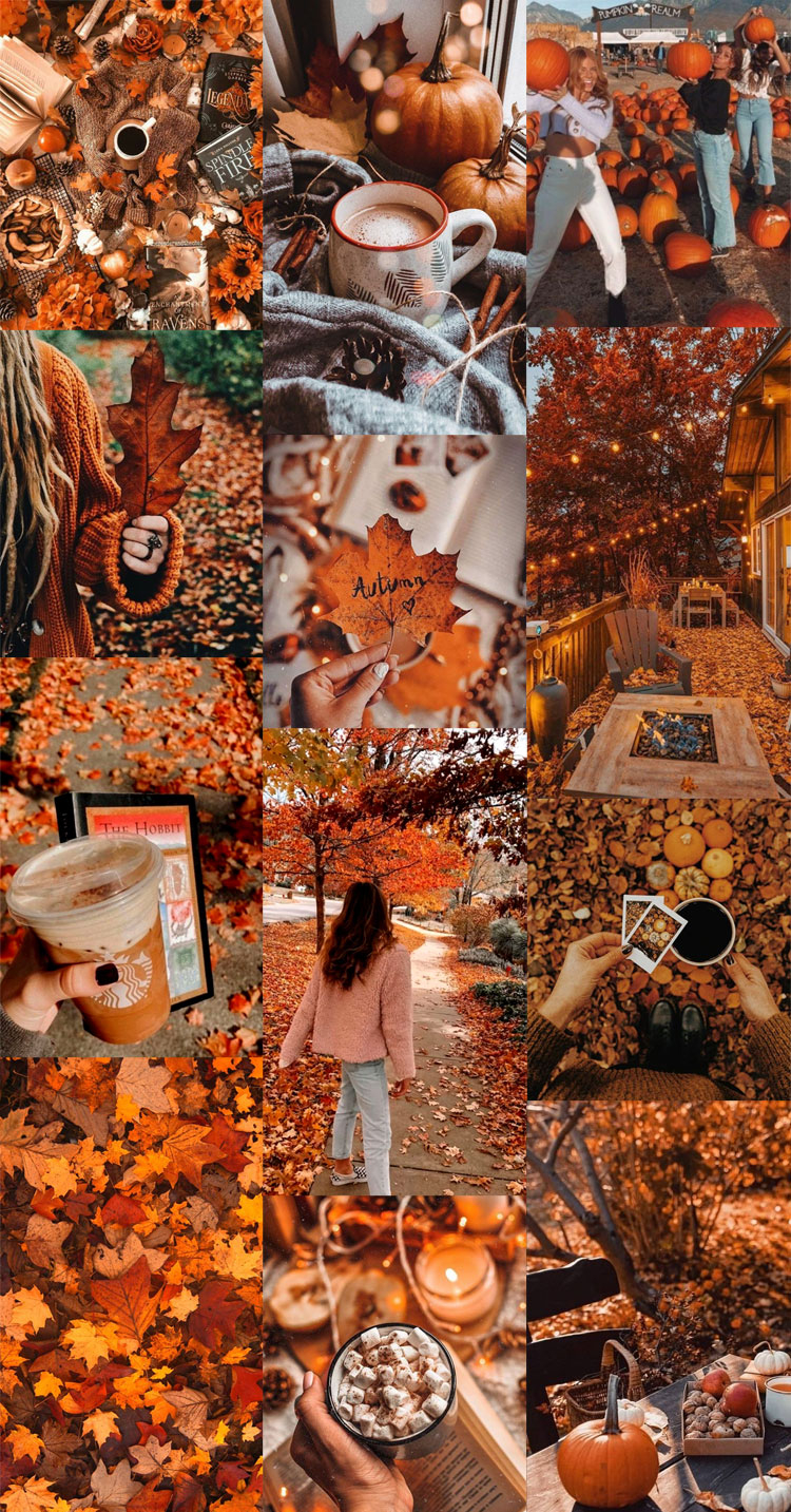 750x1440 Autumn Collage Wallpaper Ideas for PC & Laptop, And All At Once, Phone