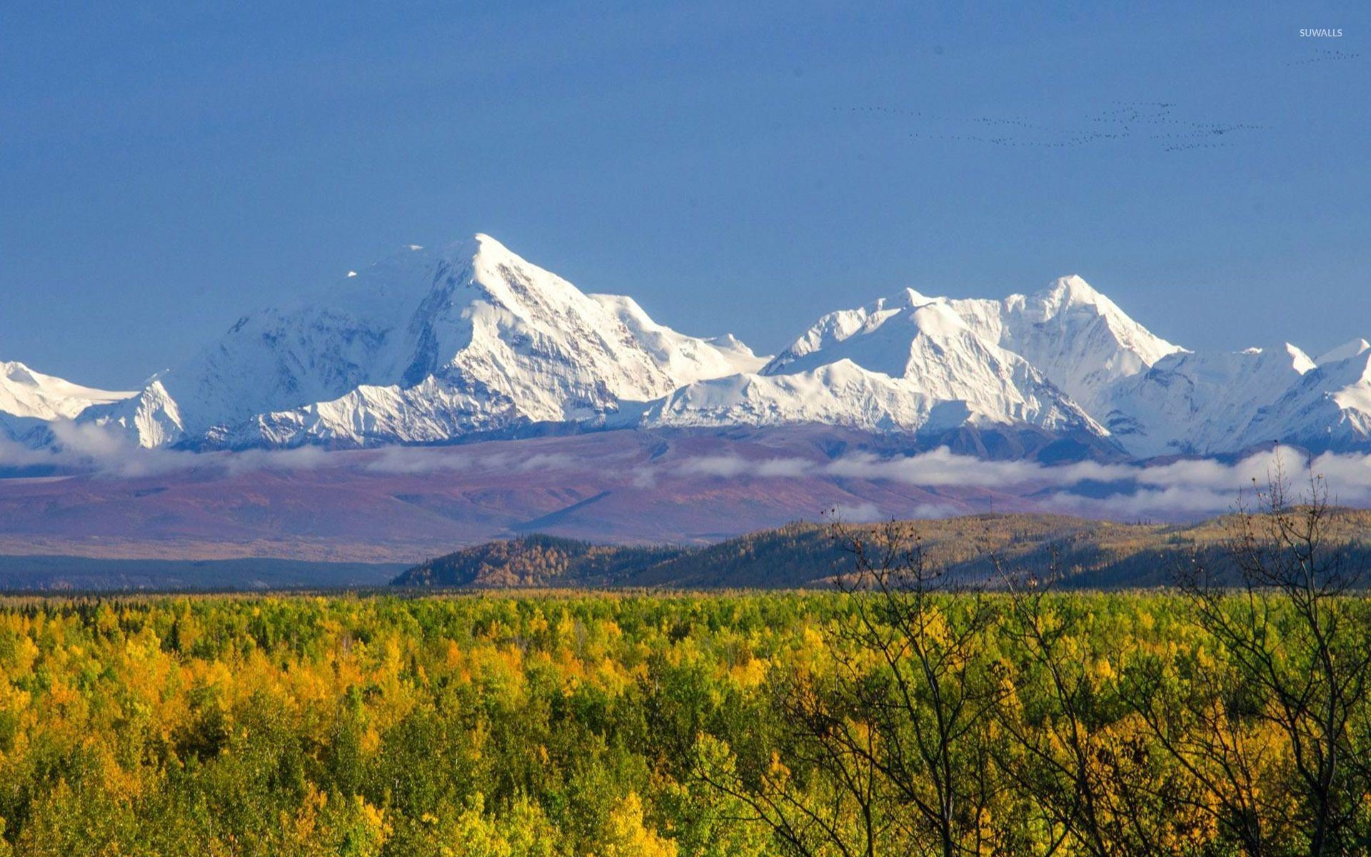 1920x1200 Denali National Park wallpaper wallpaper, Desktop