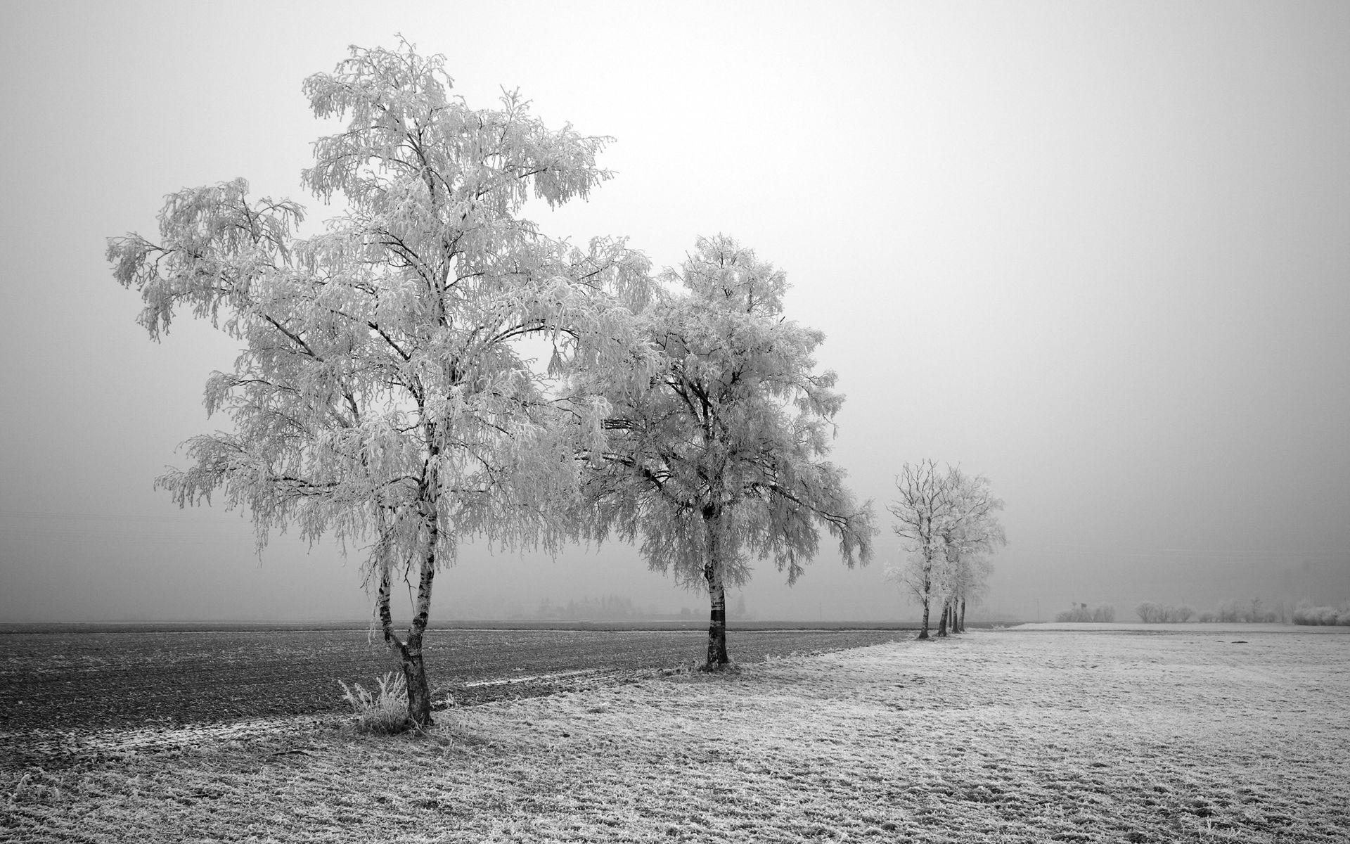 1920x1200 Ansel Adams, Desktop