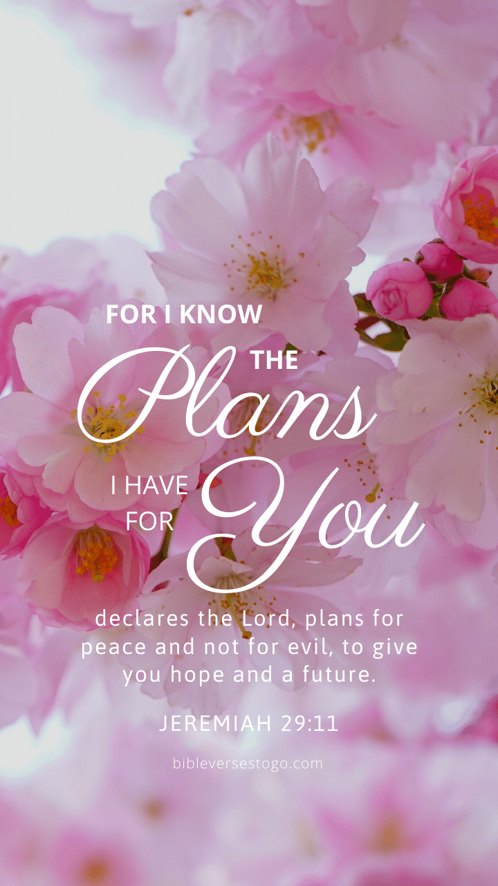 720x1280 Jeremiah 29:11 Bible Verse Wallpaper, Phone