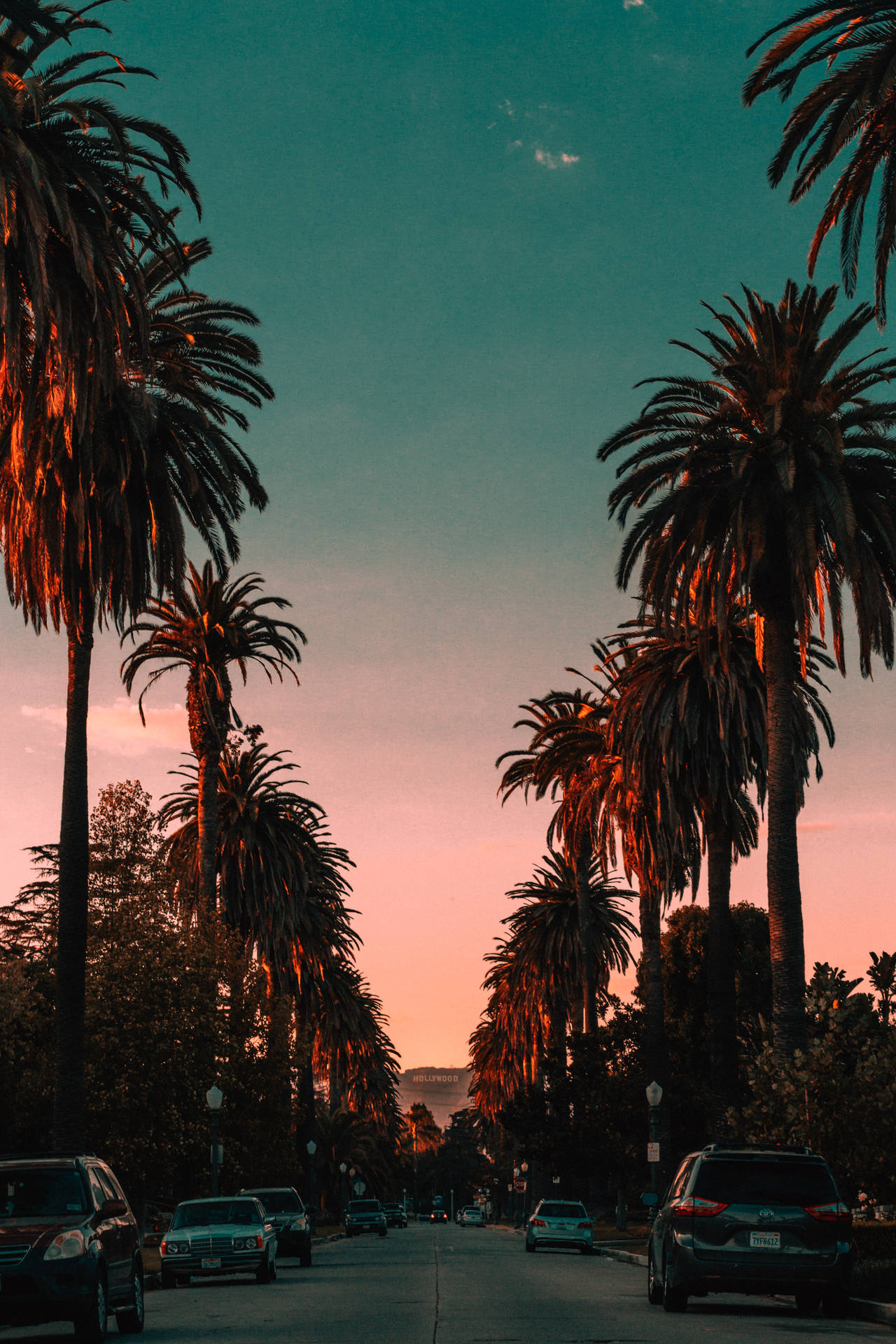 1280x1920 Download Hollywood Los Angeles Aesthetic Wallpaper, Phone