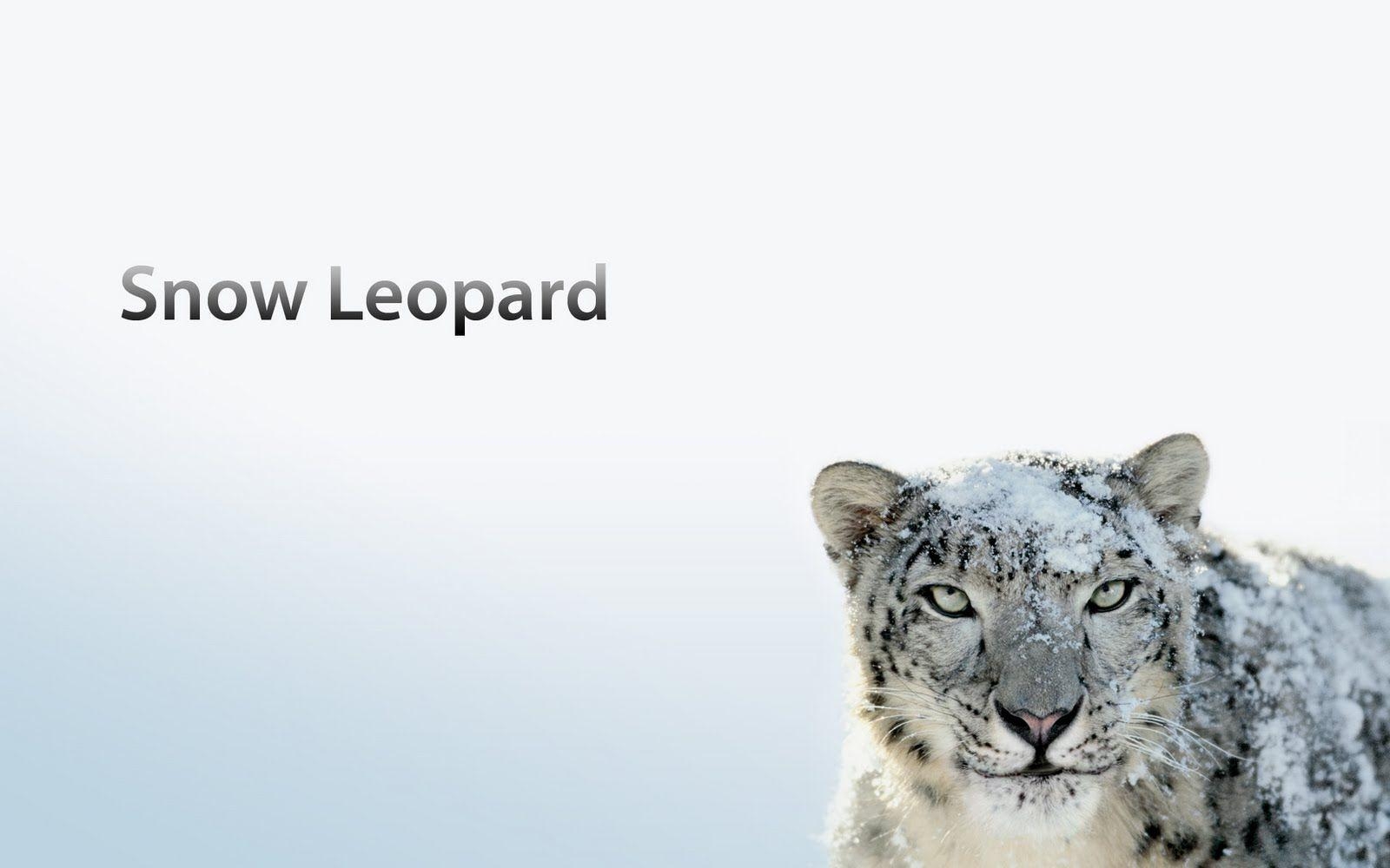 1600x1000 Mac OS X Snow Leopard Desktop Wallpaper, Desktop