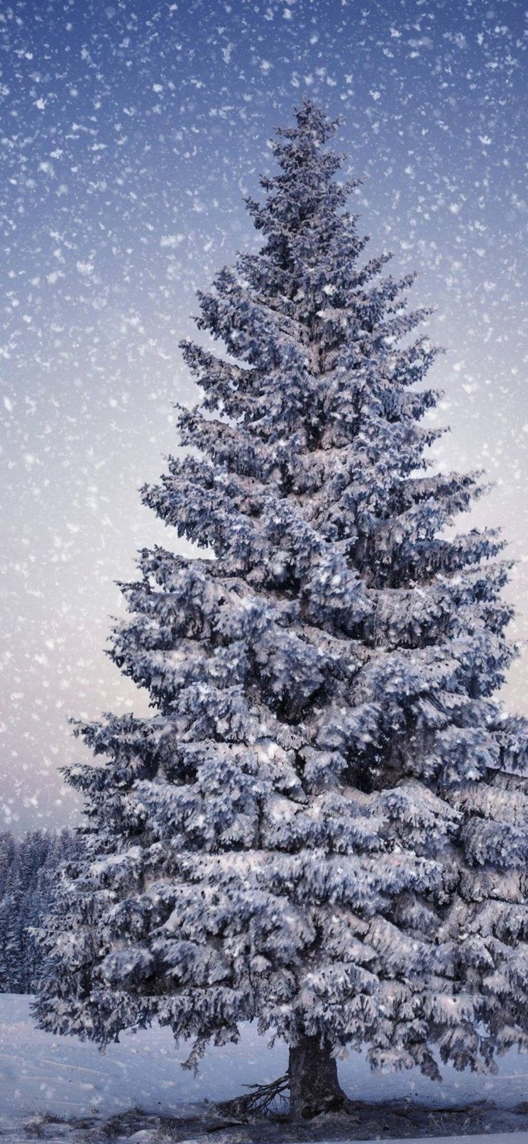 770x1670 Samsung Galaxy A50 Wallpaper. Christmas tree wallpaper, iPhone wallpaper winter, Winter wallpaper, Phone