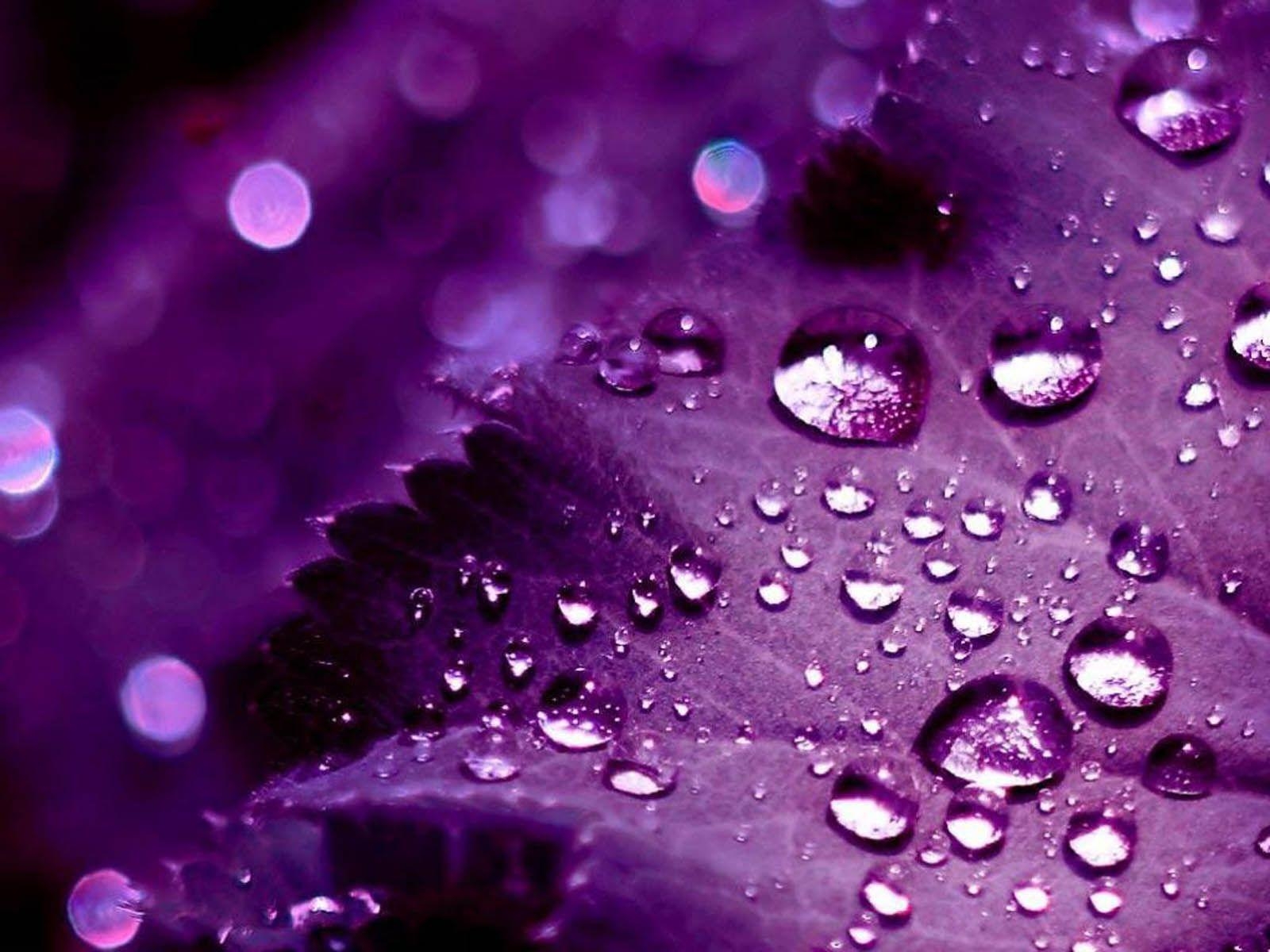 1600x1200 Pretty Purple Background Tumblr, Desktop