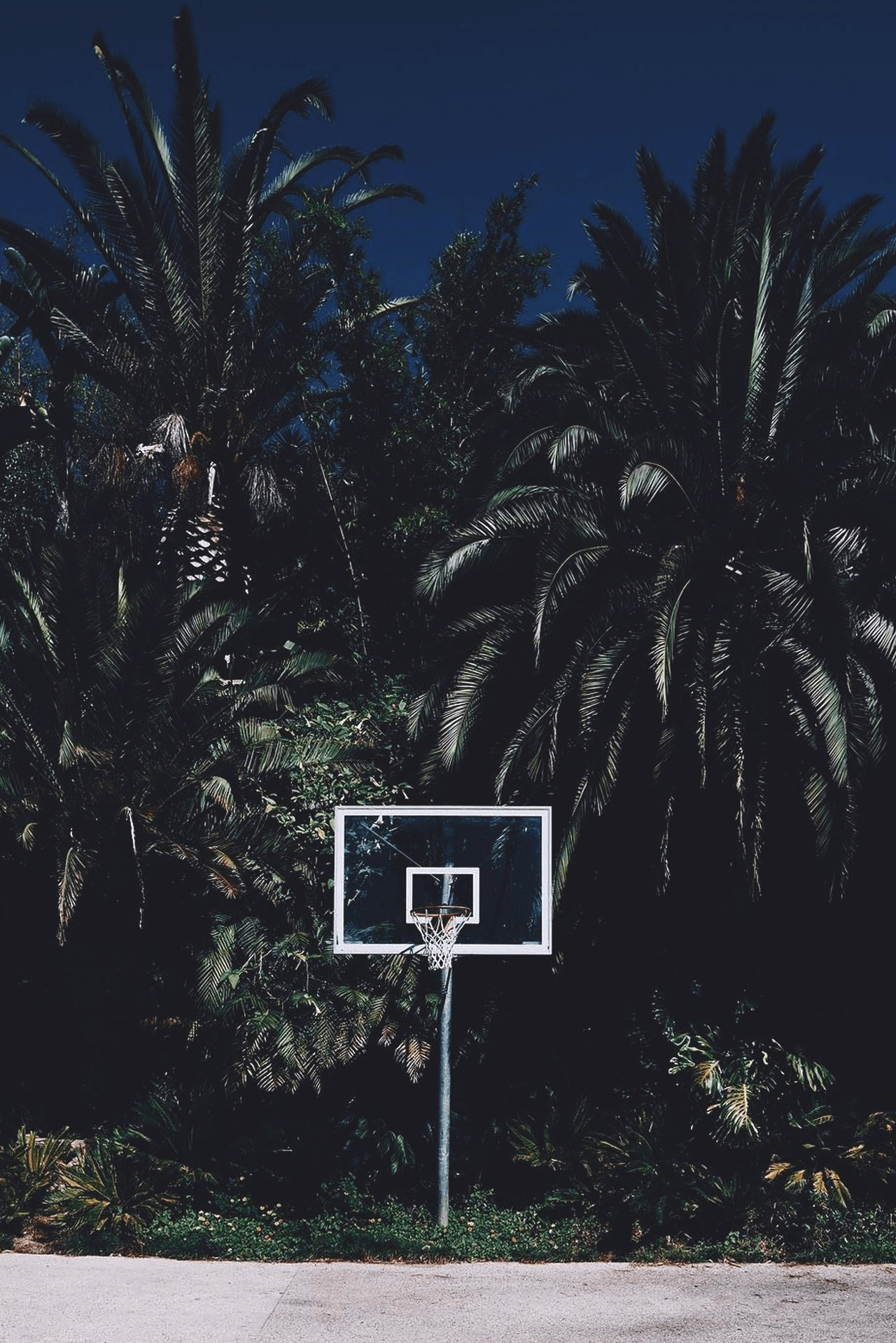 1280x1920 HOOPS//. iPhone wallpaper, Phone