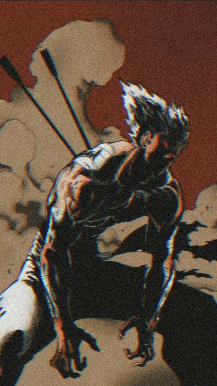 720x1280 Garou One Punch Man Wallpaper, Phone