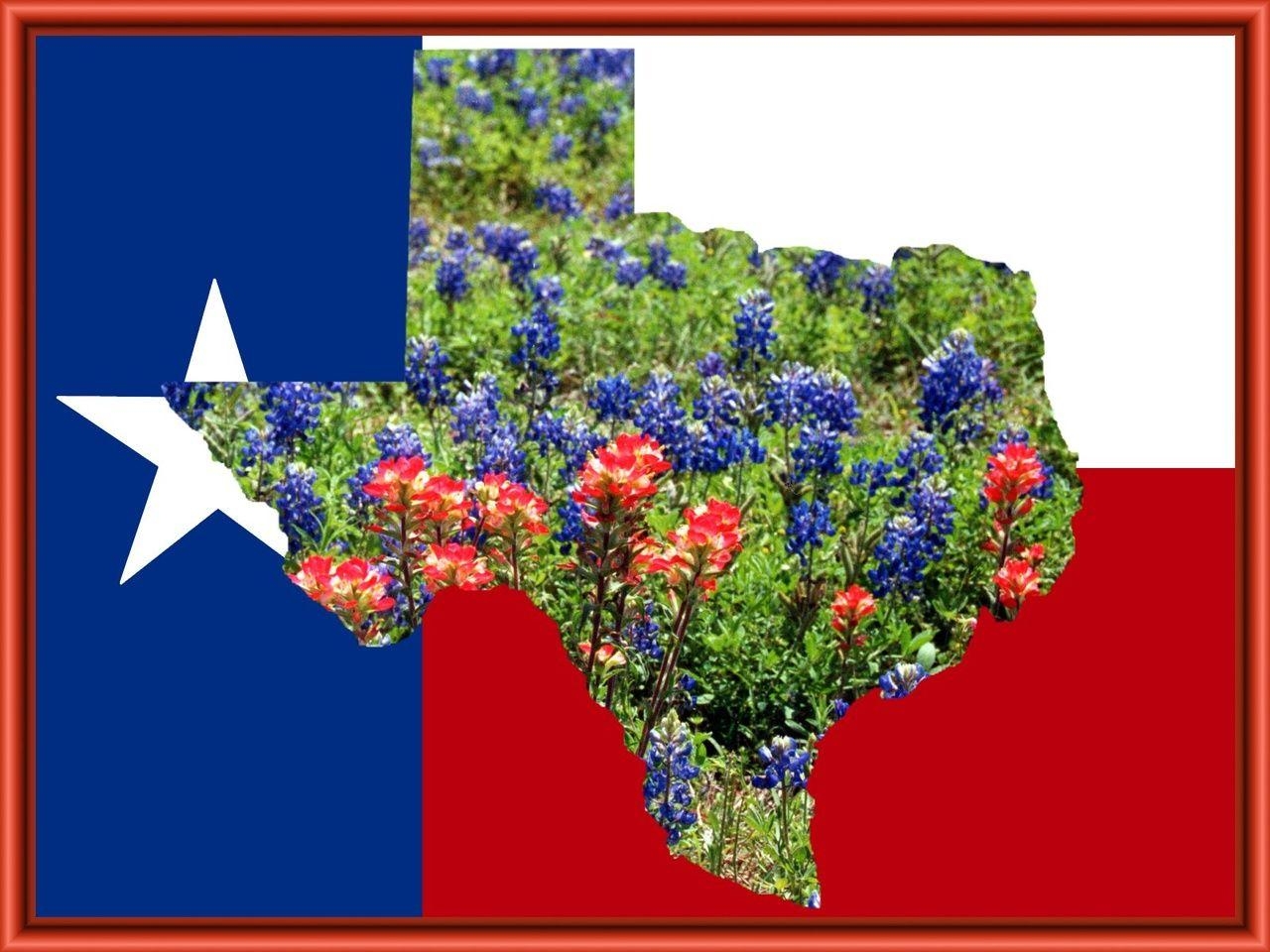 1280x960 texas flag in blue bonnets. Texas Spring. Home, Blue, Desktop