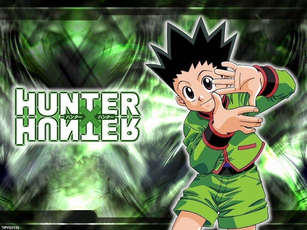 1030x770 Hunter X Hunter HD Wallpaper, Desktop