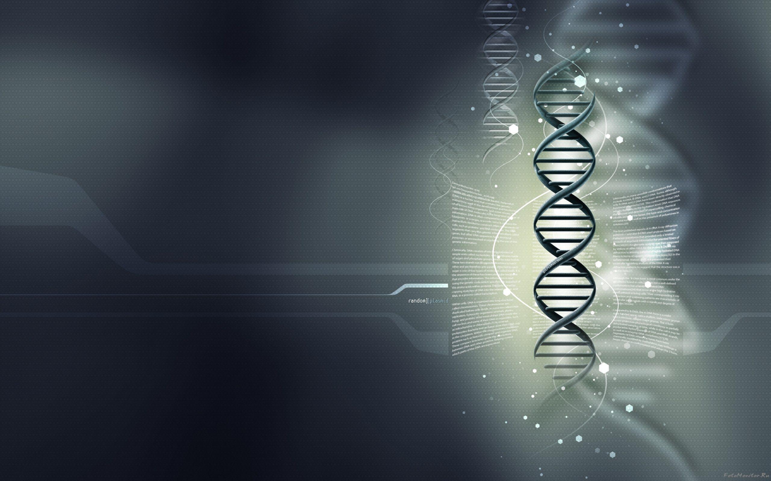 2560x1600 Download wallpaper gray background, DNA, medical wallpaper, genes, Desktop