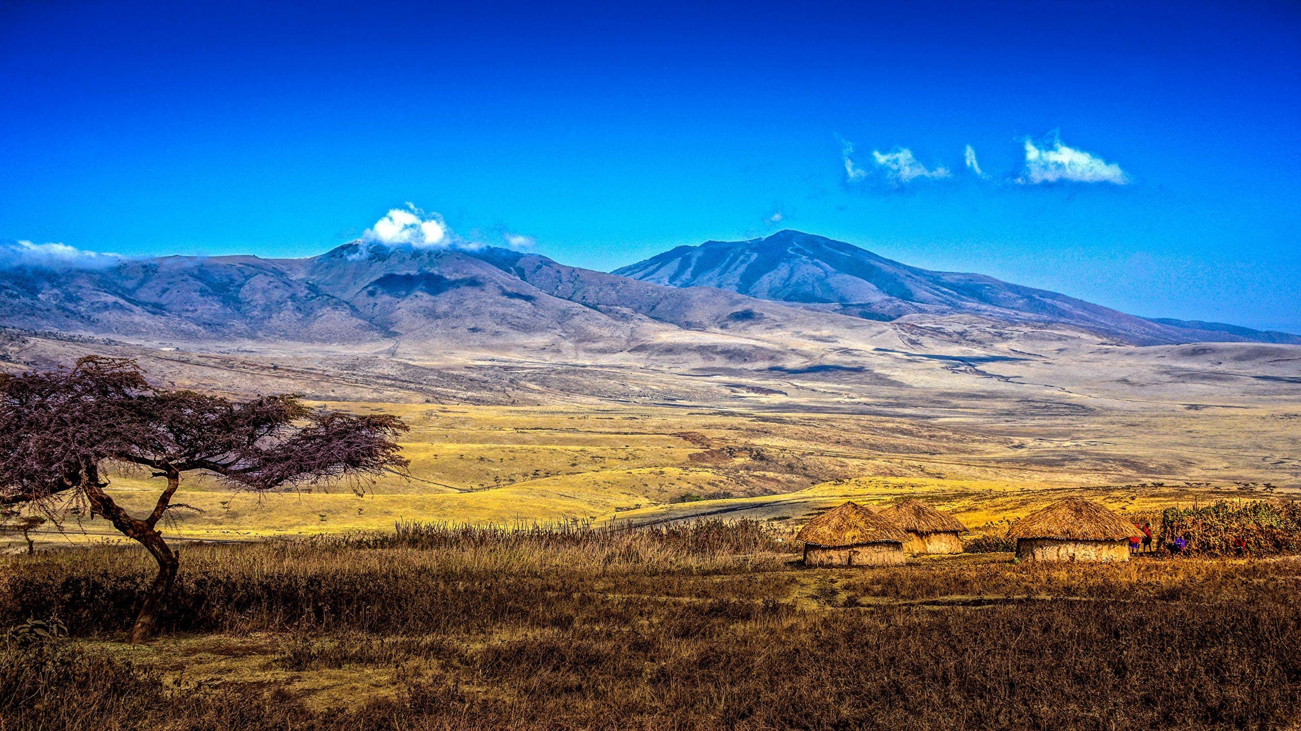 2560x1440 Photos Africa Tanzania Nature Mountains Scenery, Desktop