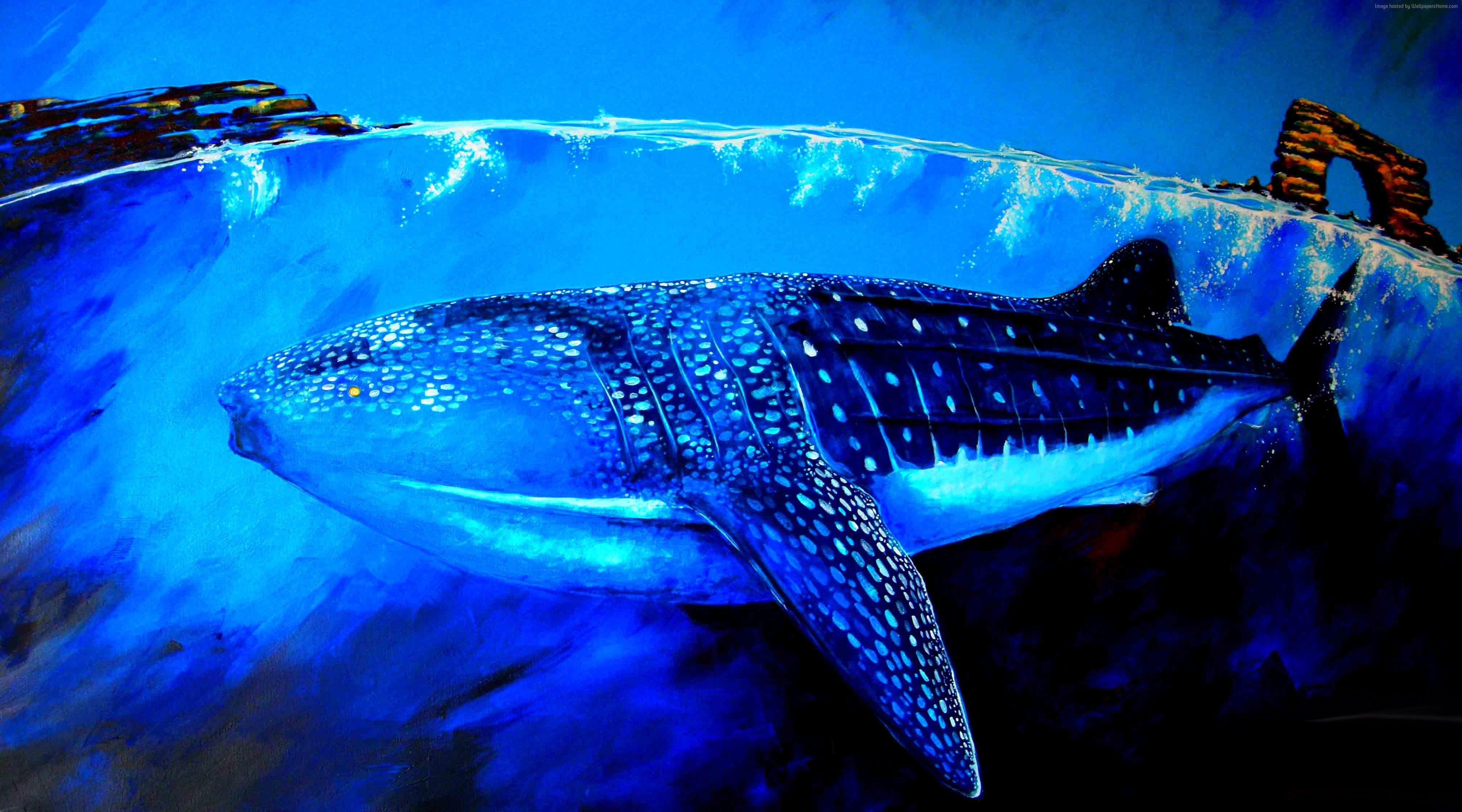 4040x2240 Wallpaper Whale Shark, underwater, art, Animals, Desktop