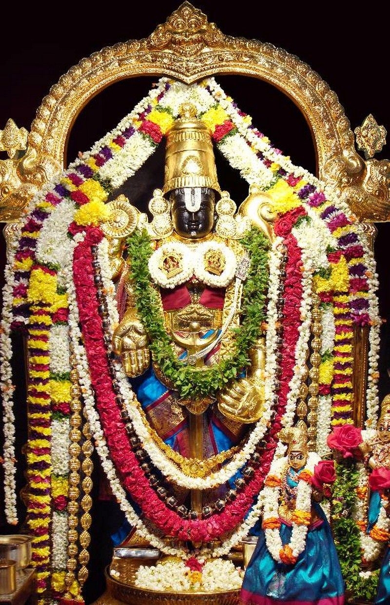 800x1250 Venkateswara Swamy HD Wallpaper Gods Paradise, Phone