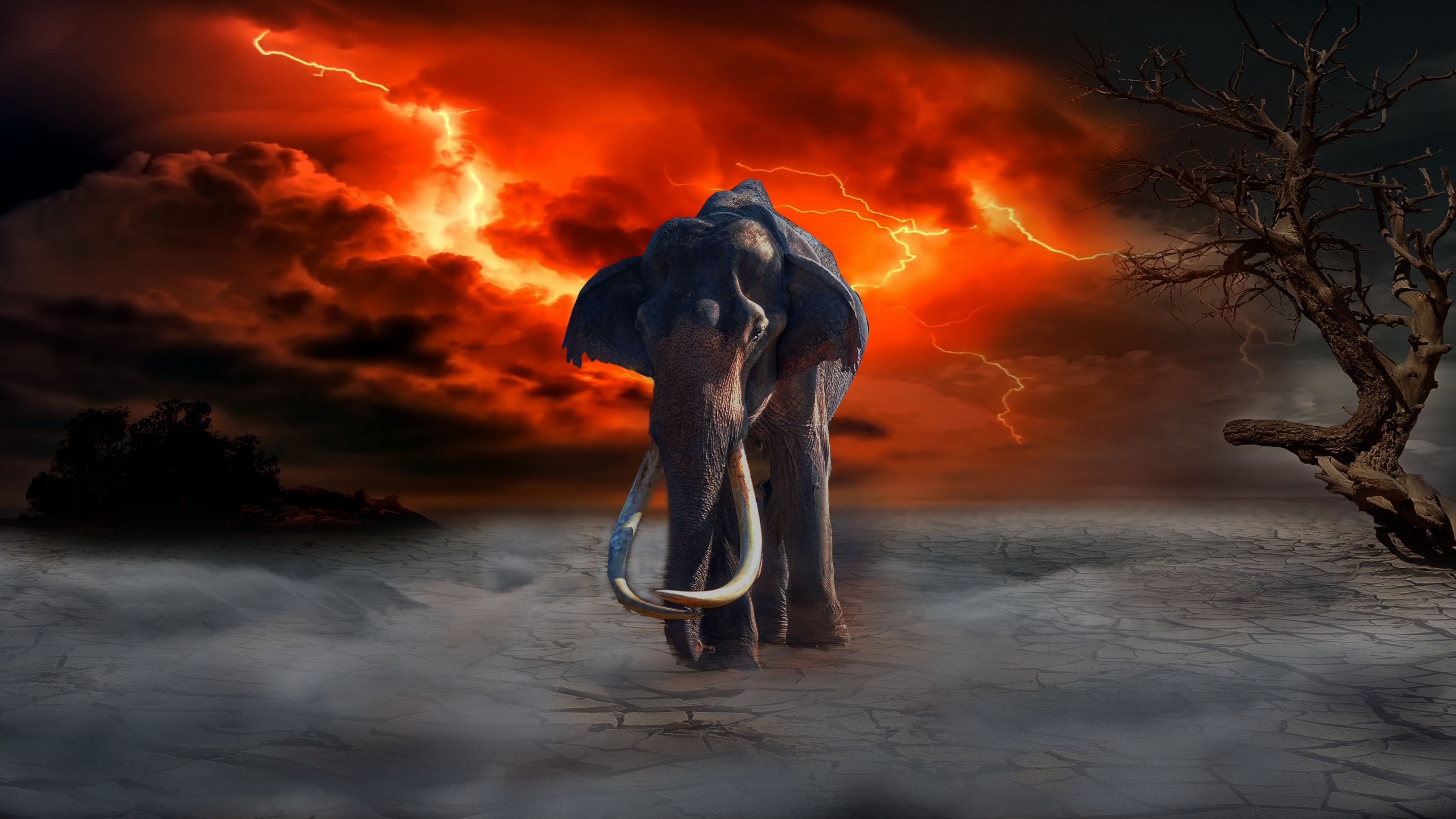 3840x2160 Wallpaper 4k elephant, lightning, photohop, fantasy 4k elephant, Lightning, photohop, Desktop