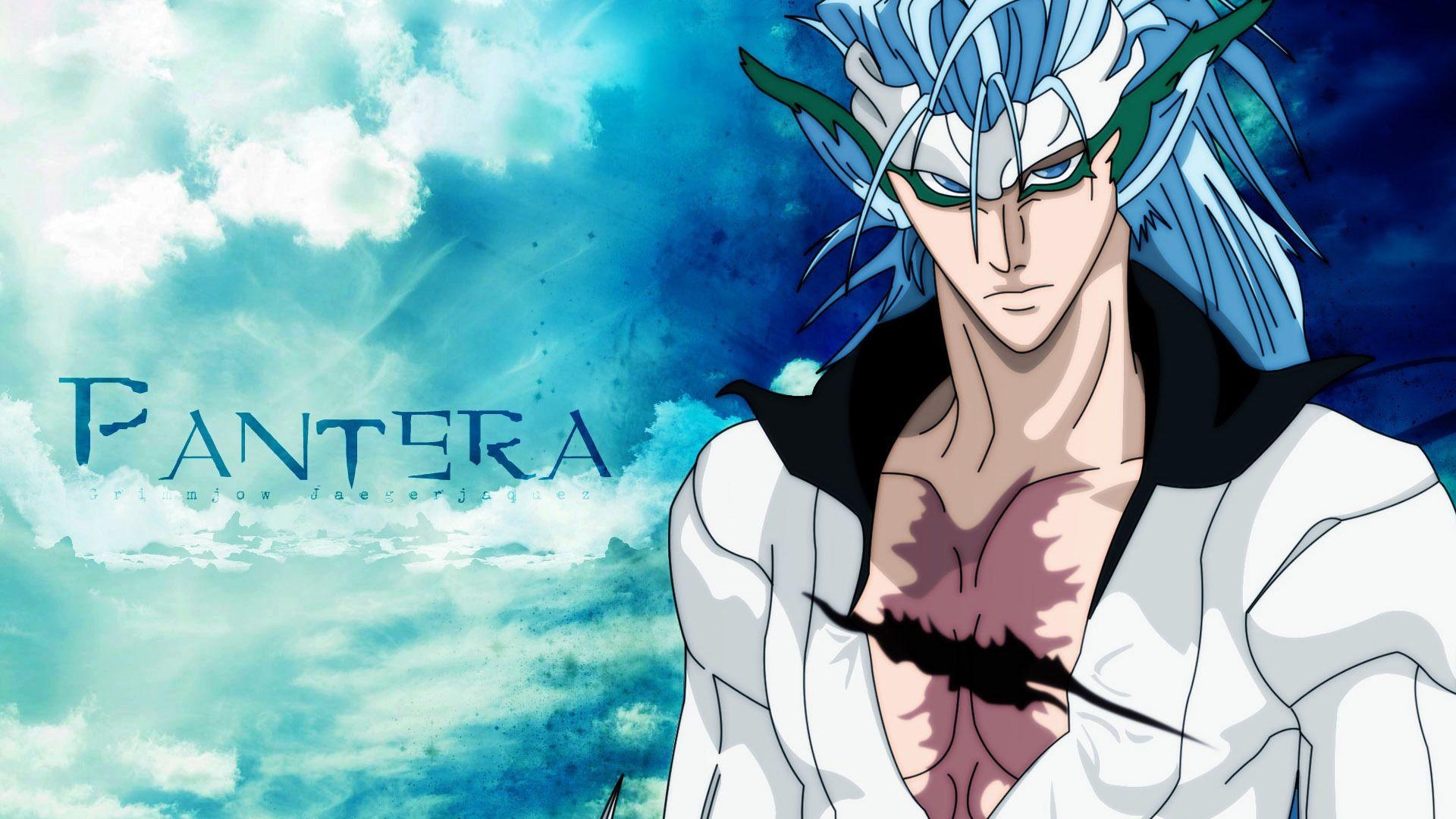 1920x1080 Grimmjow Jaegerjaquez Wallpaper, Desktop